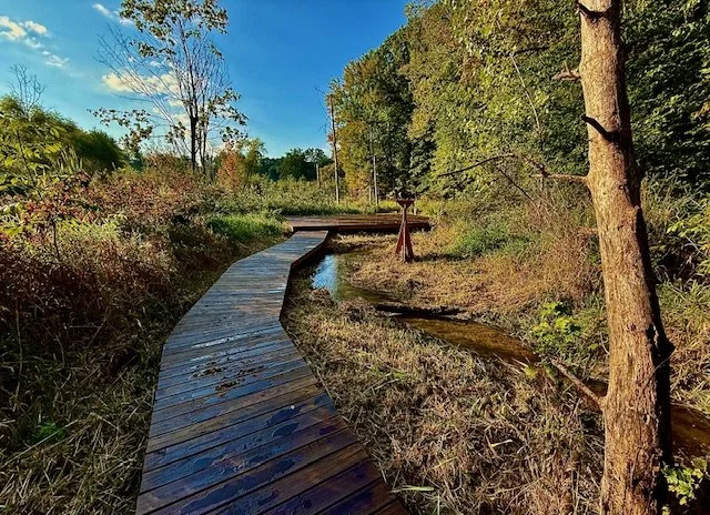 Autumn Yoga Day with Kellie L.