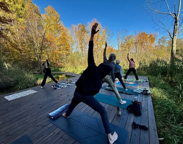 YOGA4.jpeg