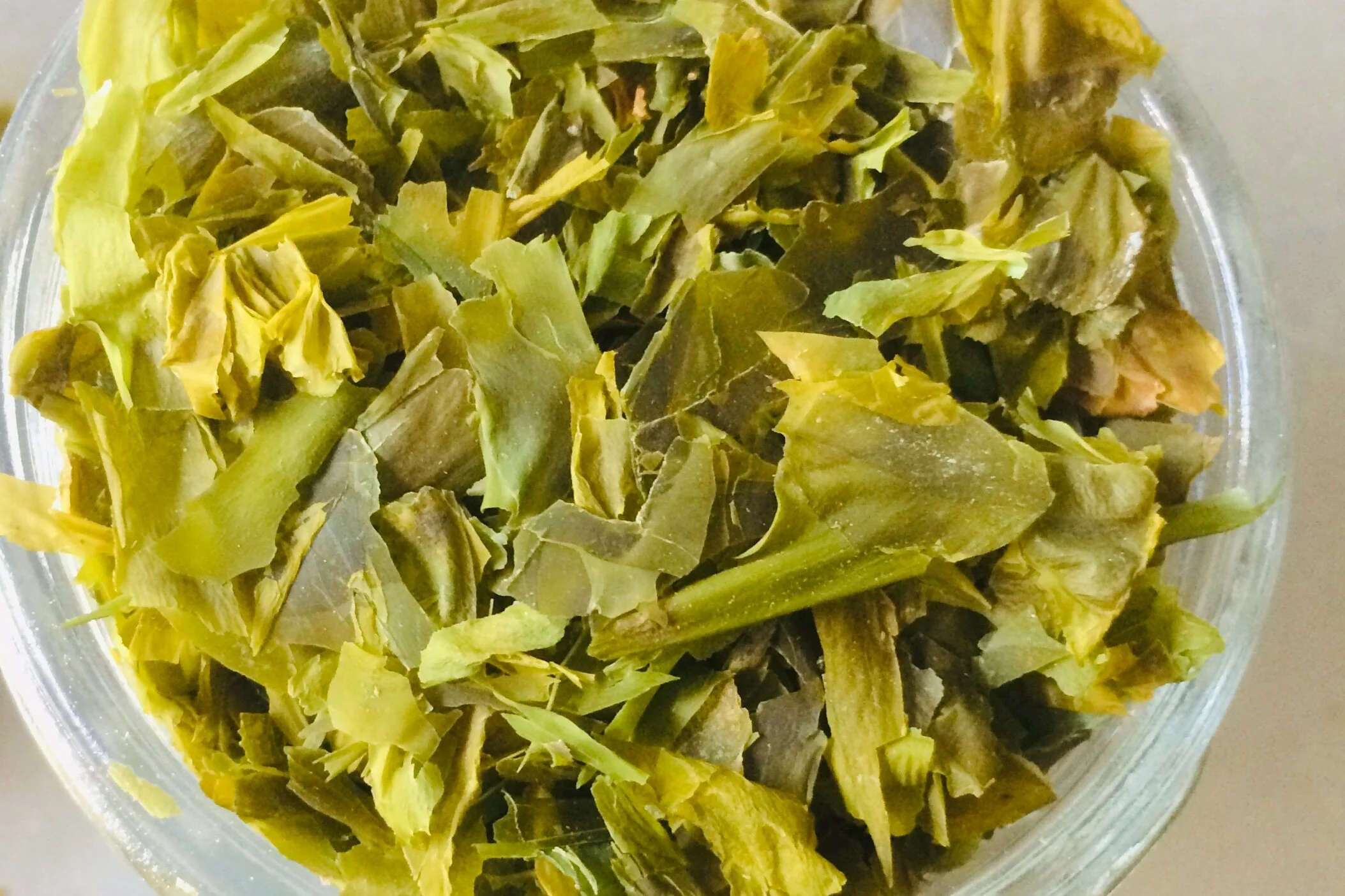 56B03EB7-92CB-4D4D-96A3-287DDA503A3D