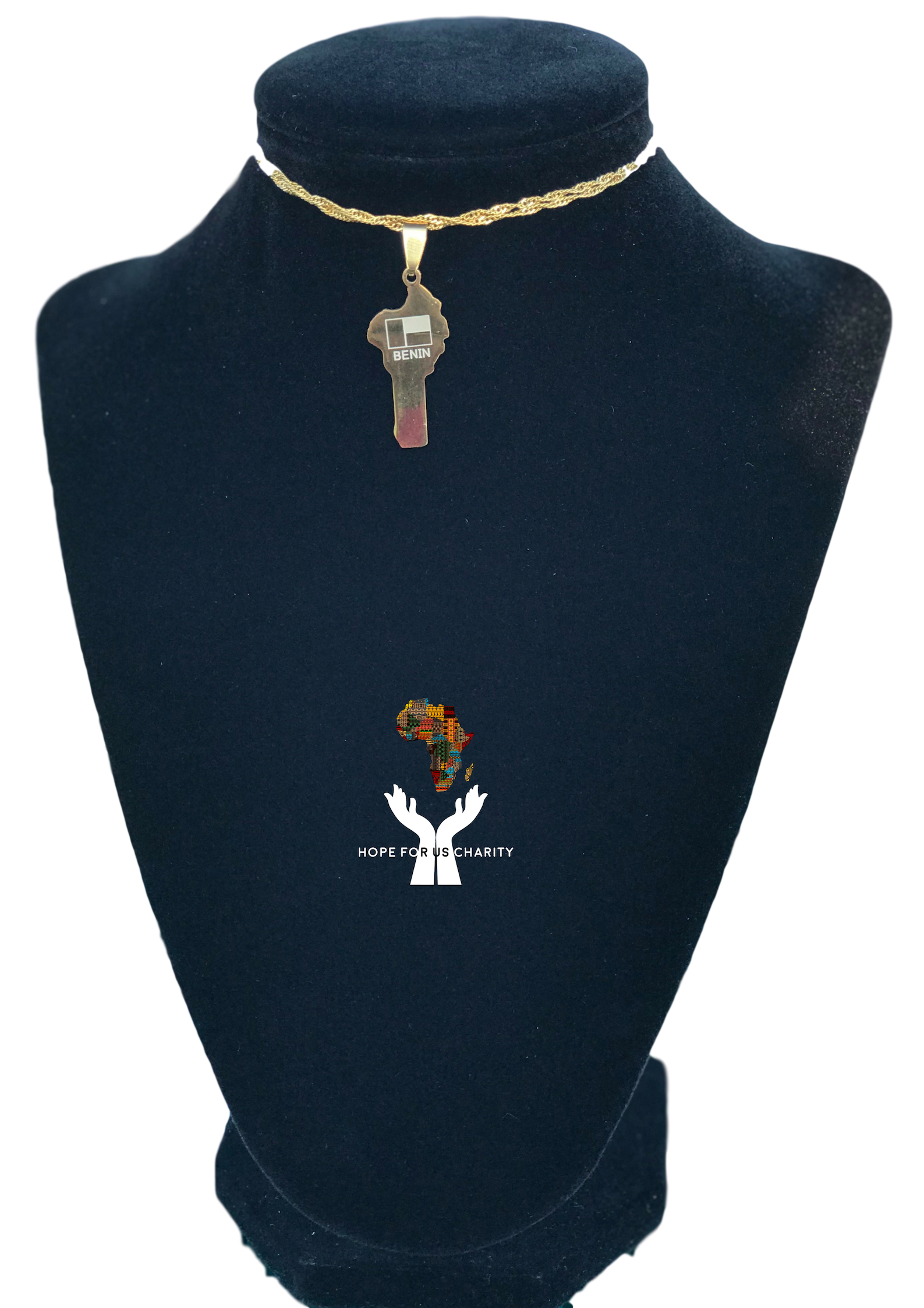 benin_clipped_rev_1 (1).png