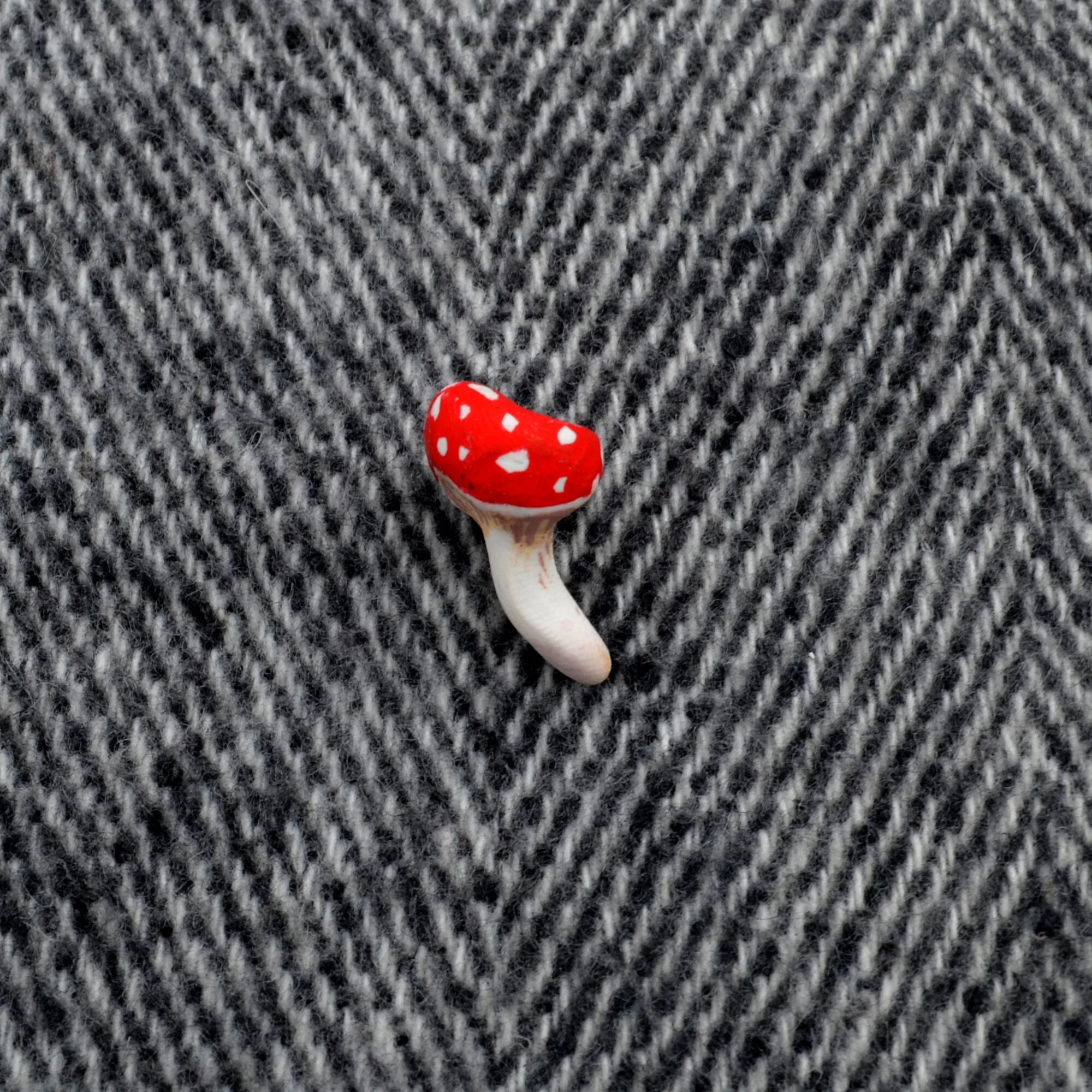 mushroom_01.jpg