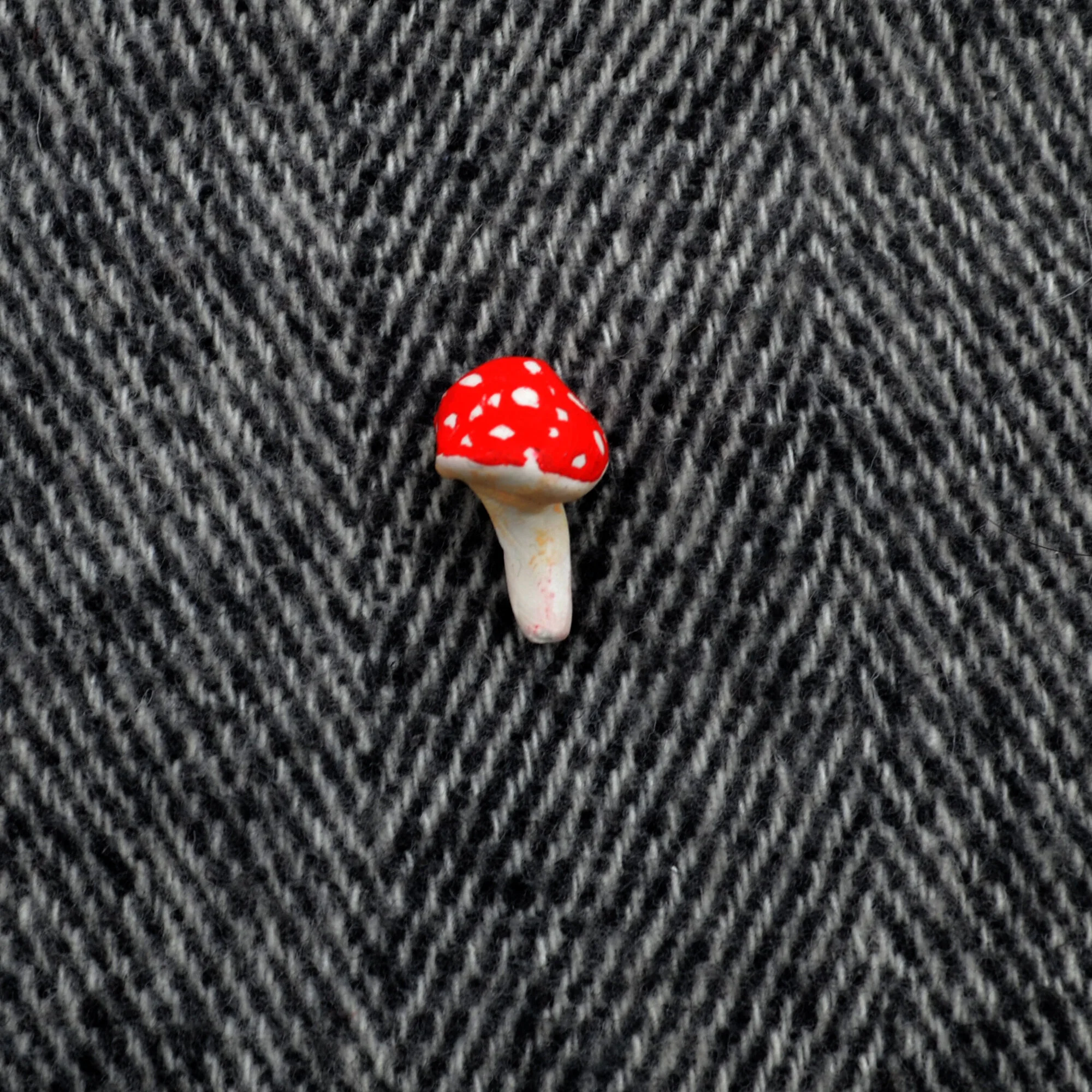 mushroom_03.jpg