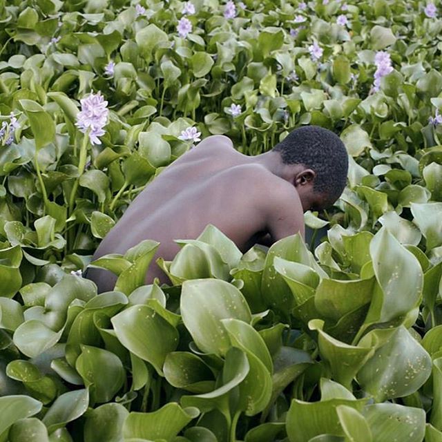 &ldquo;Boys and Water&rdquo; photo series by Denisse Ariana P&eacute;rez @denisseaps