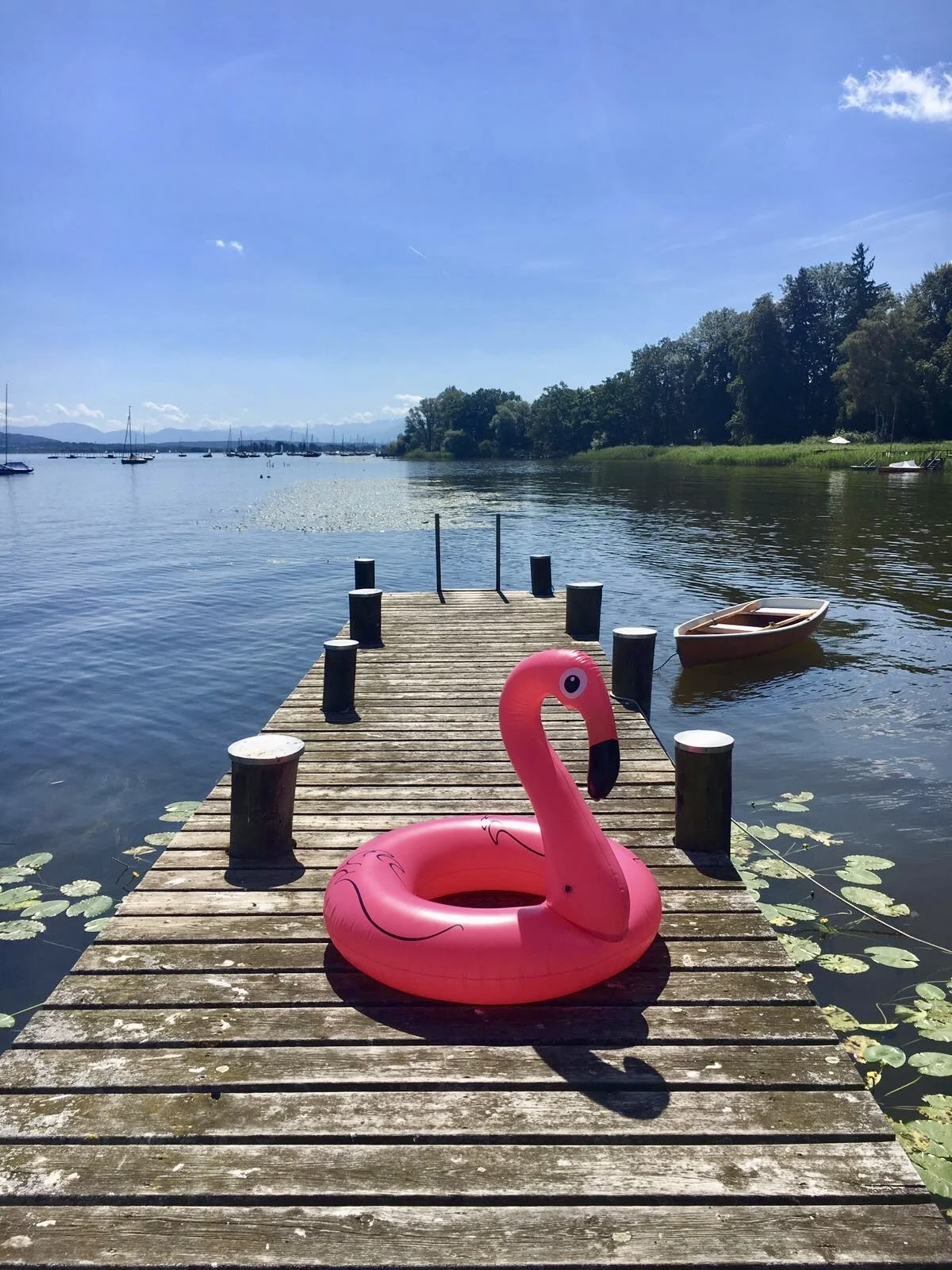 Bild 10 - See Flamingo