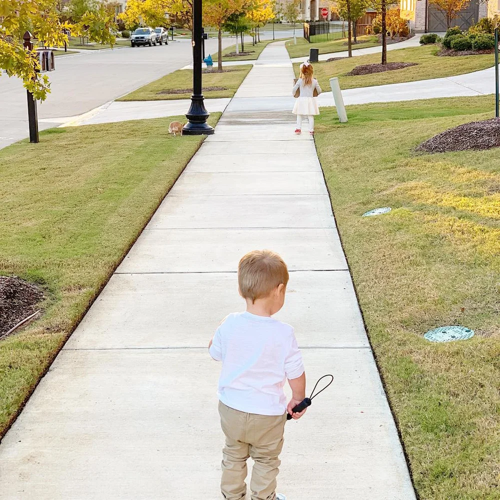 Duke took his first steps this summer and started walking with his cane in our neighborhood