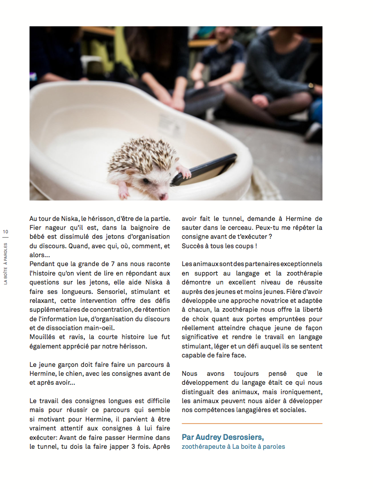 Article boite a paroles, juill 2018.png