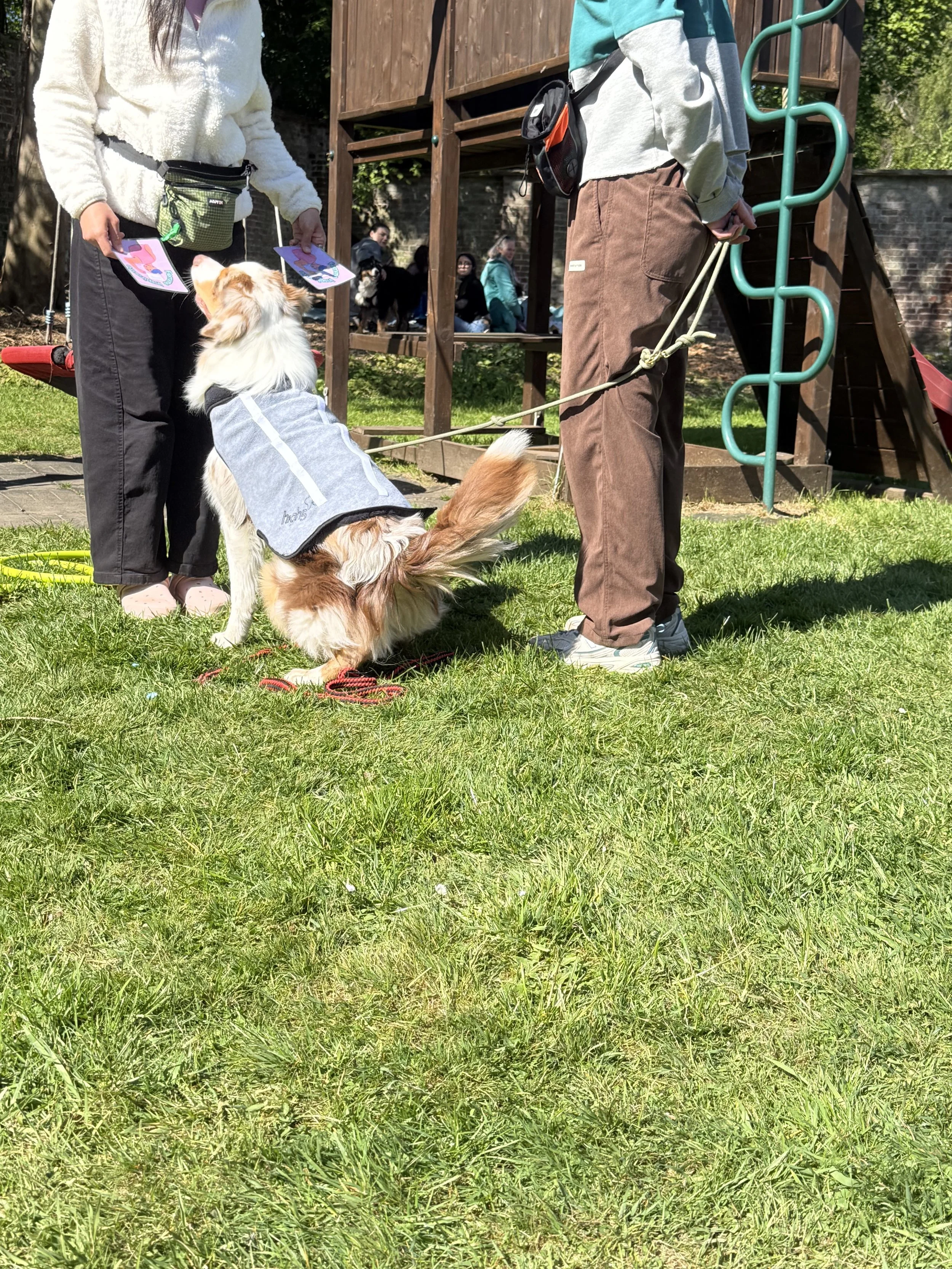 IMG_3091.jpeg