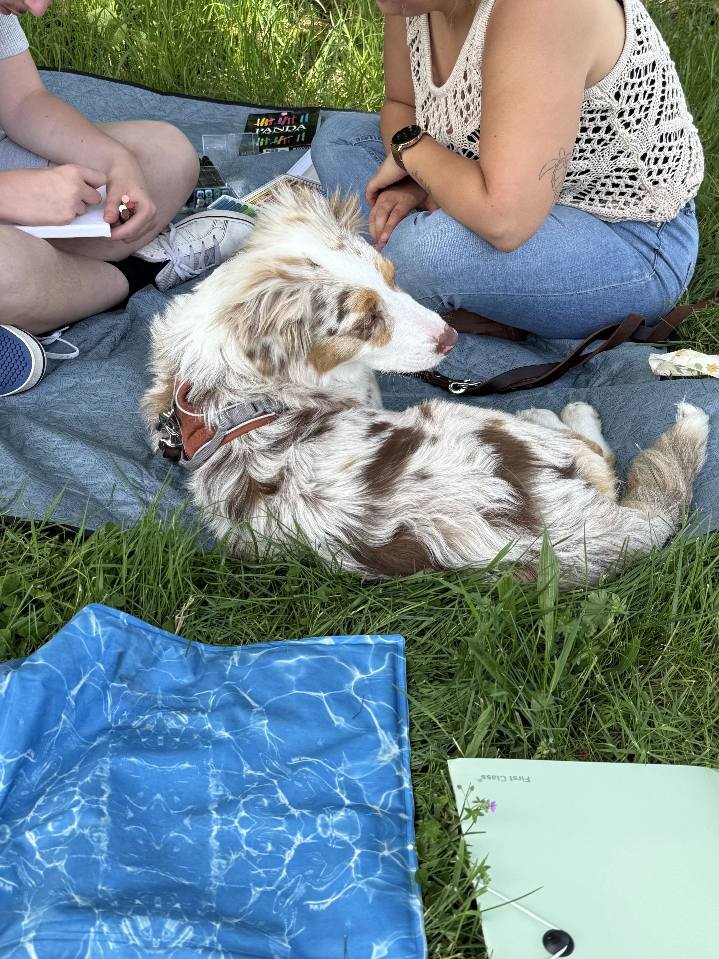 IMG_4239.jpeg