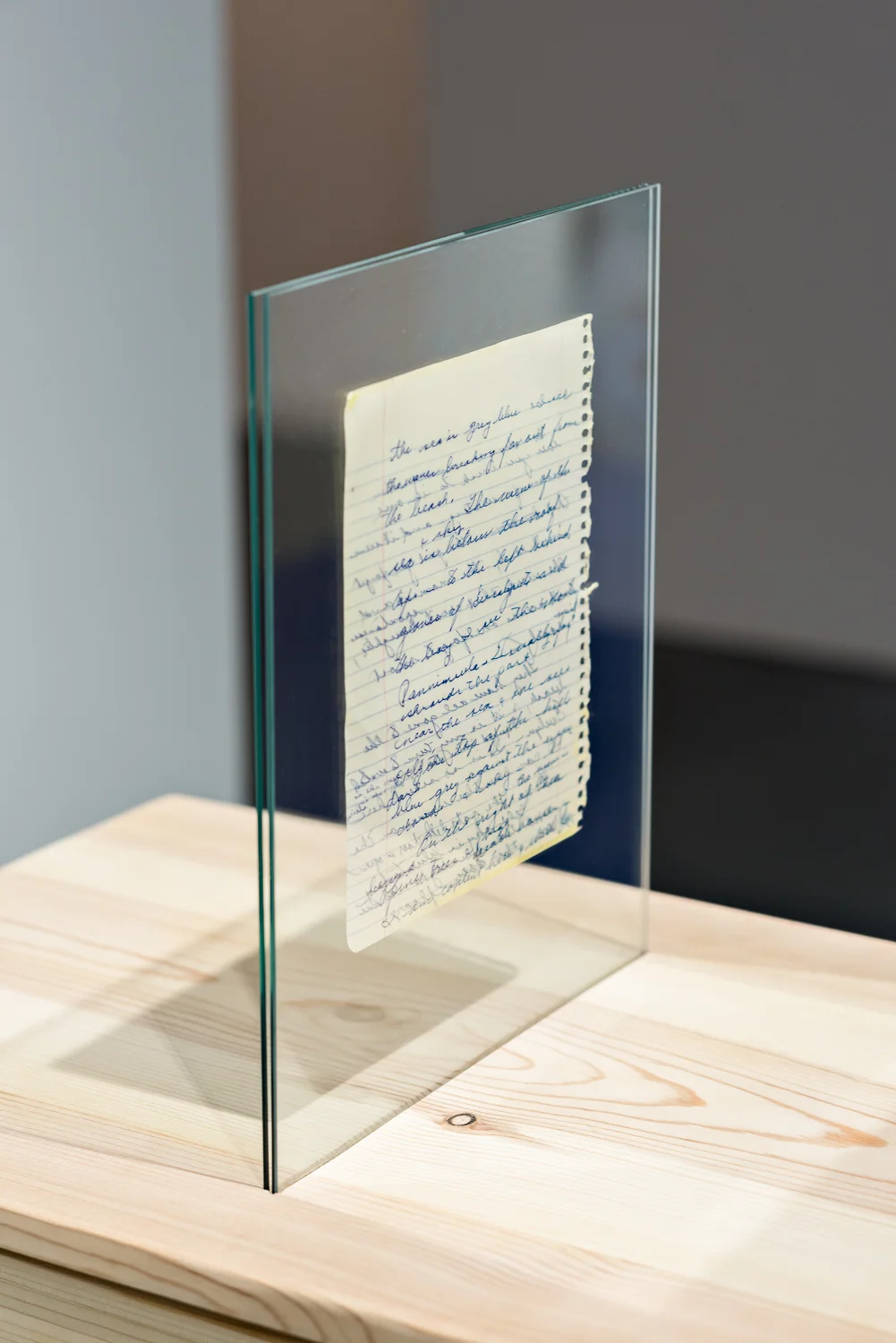 Ross_MFA_Show_Medium_05.jpg