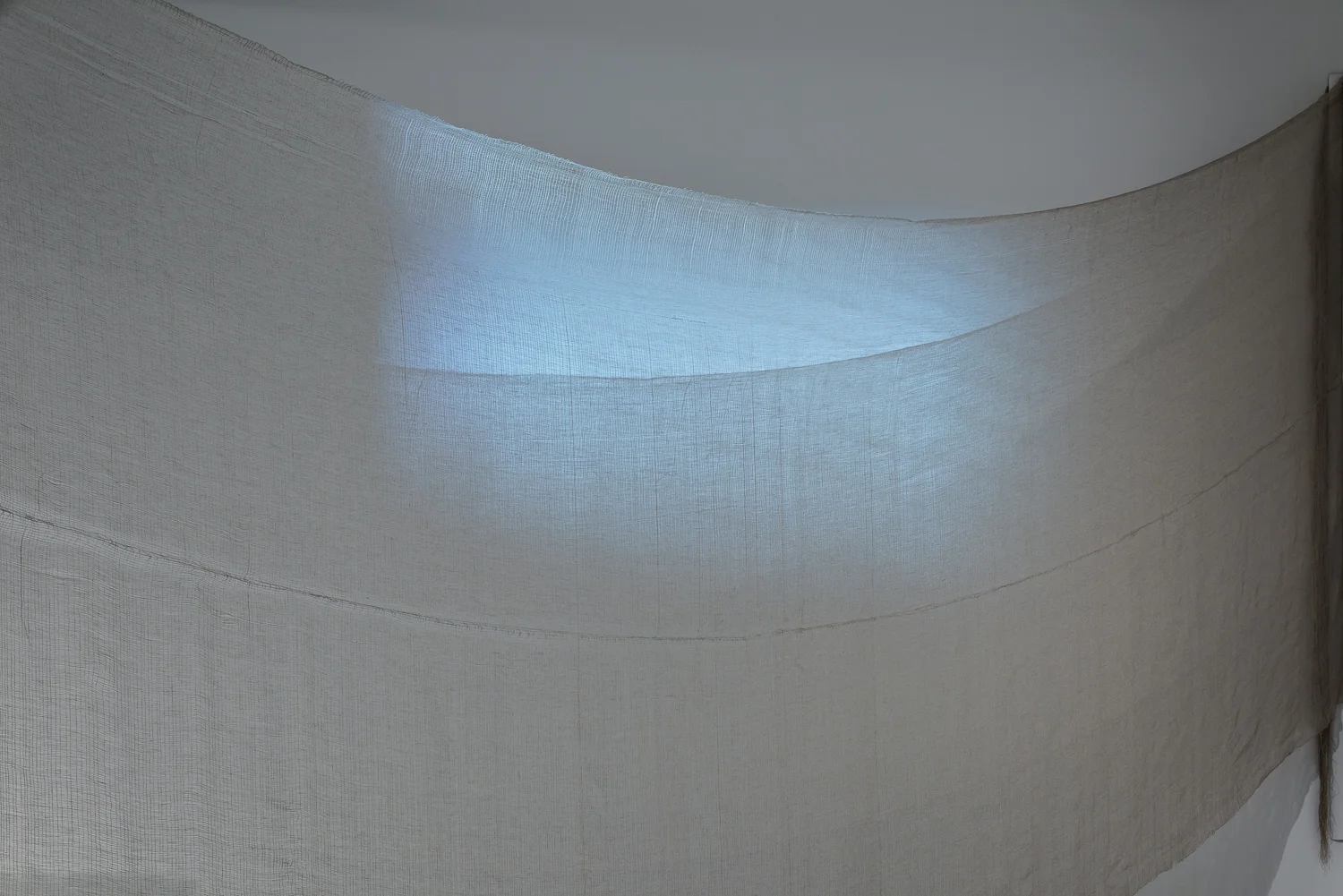 Ross_MFA_Show_Medium_11.jpg