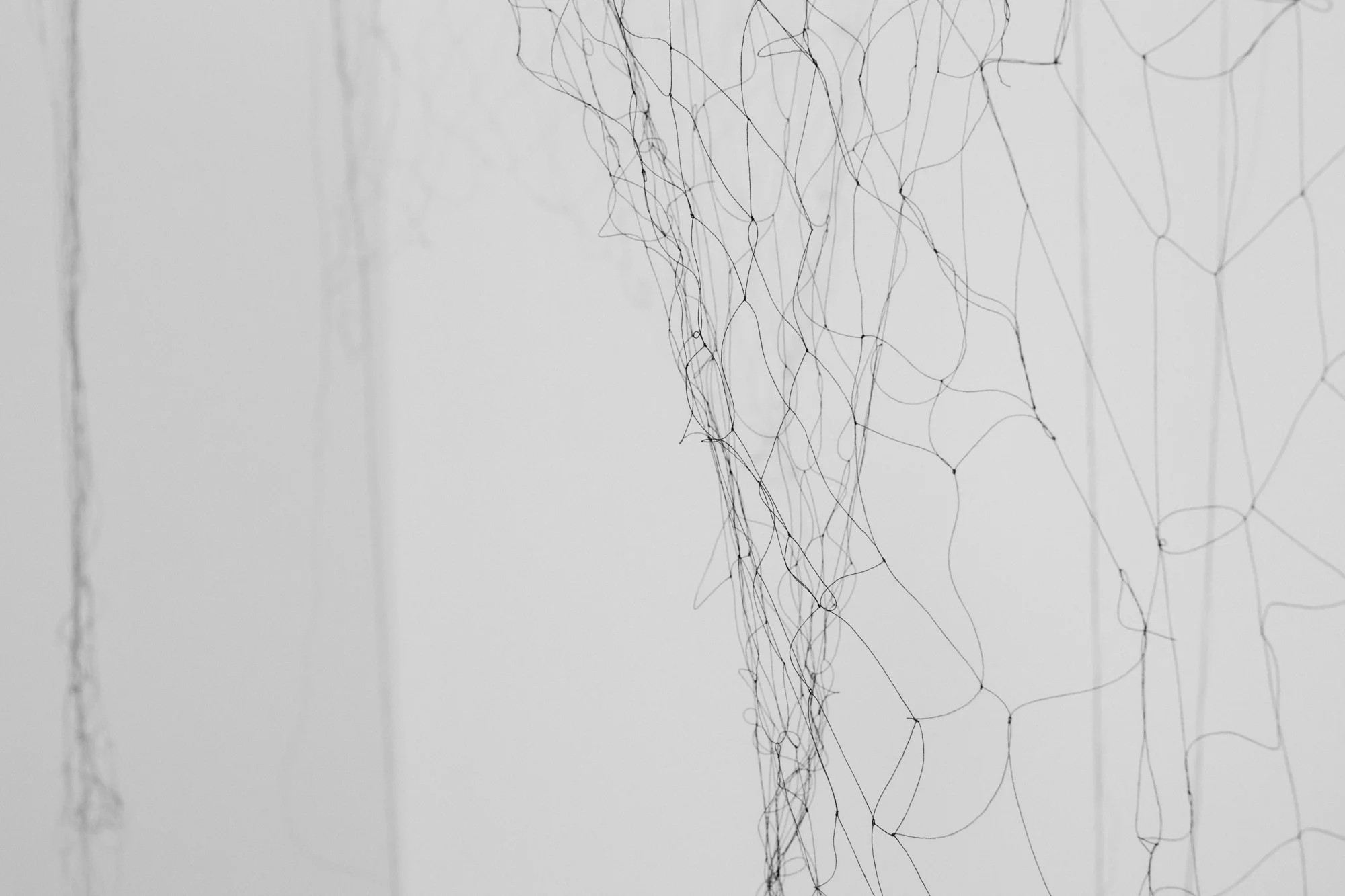 LaurenRoss-15.jpg