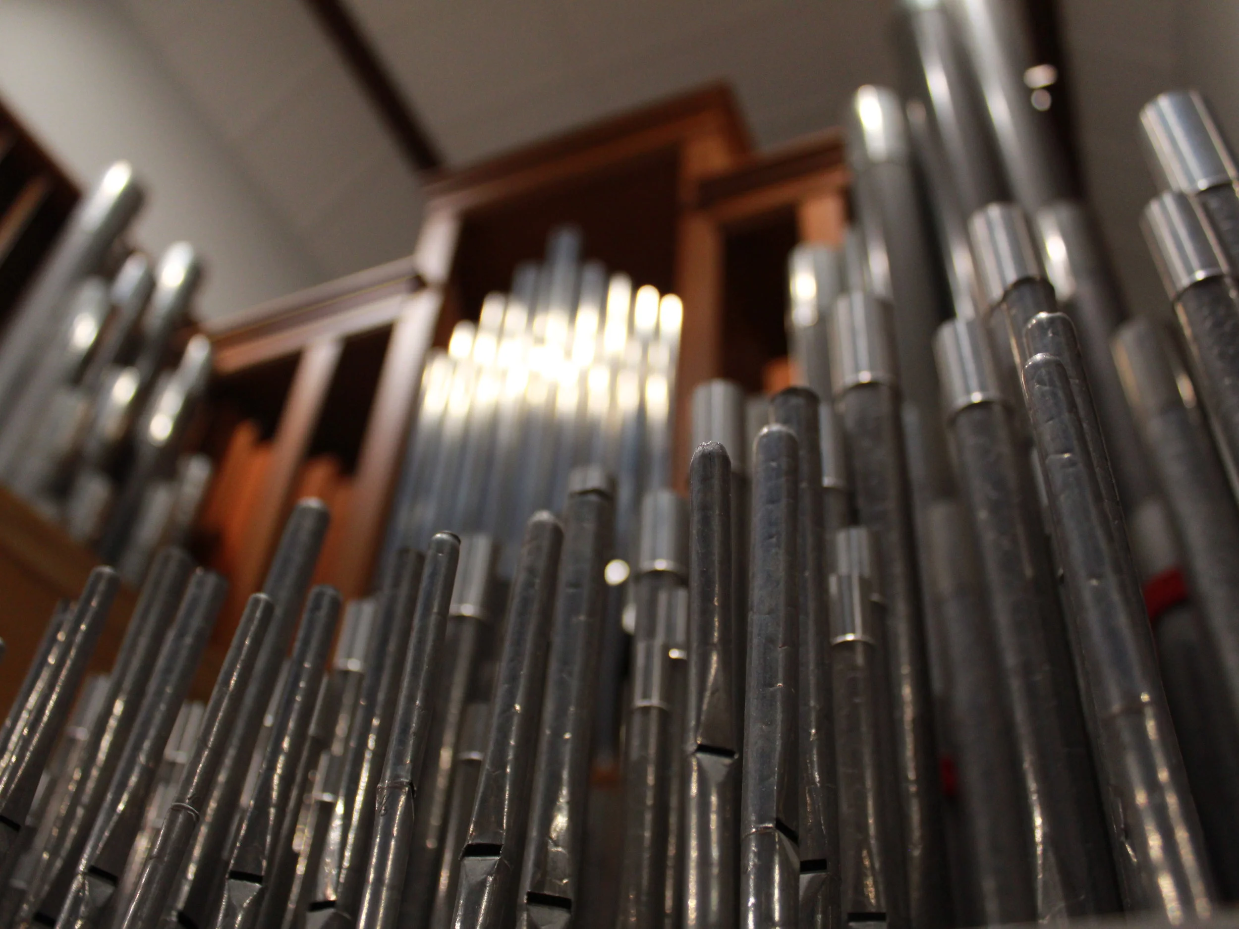 Bethel Lutheran // Madison, WI