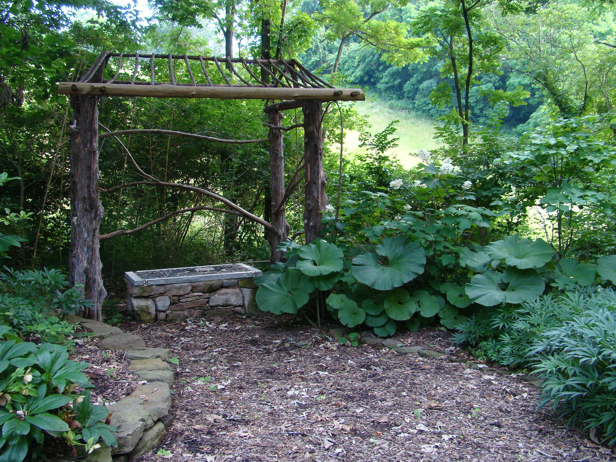 cedar tea house yr 2.jpg