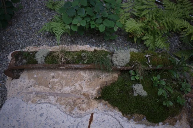 DSC09493.jpeg
