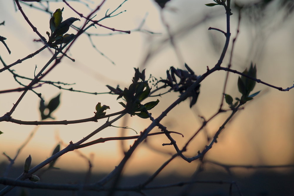 Sunset from the farm,