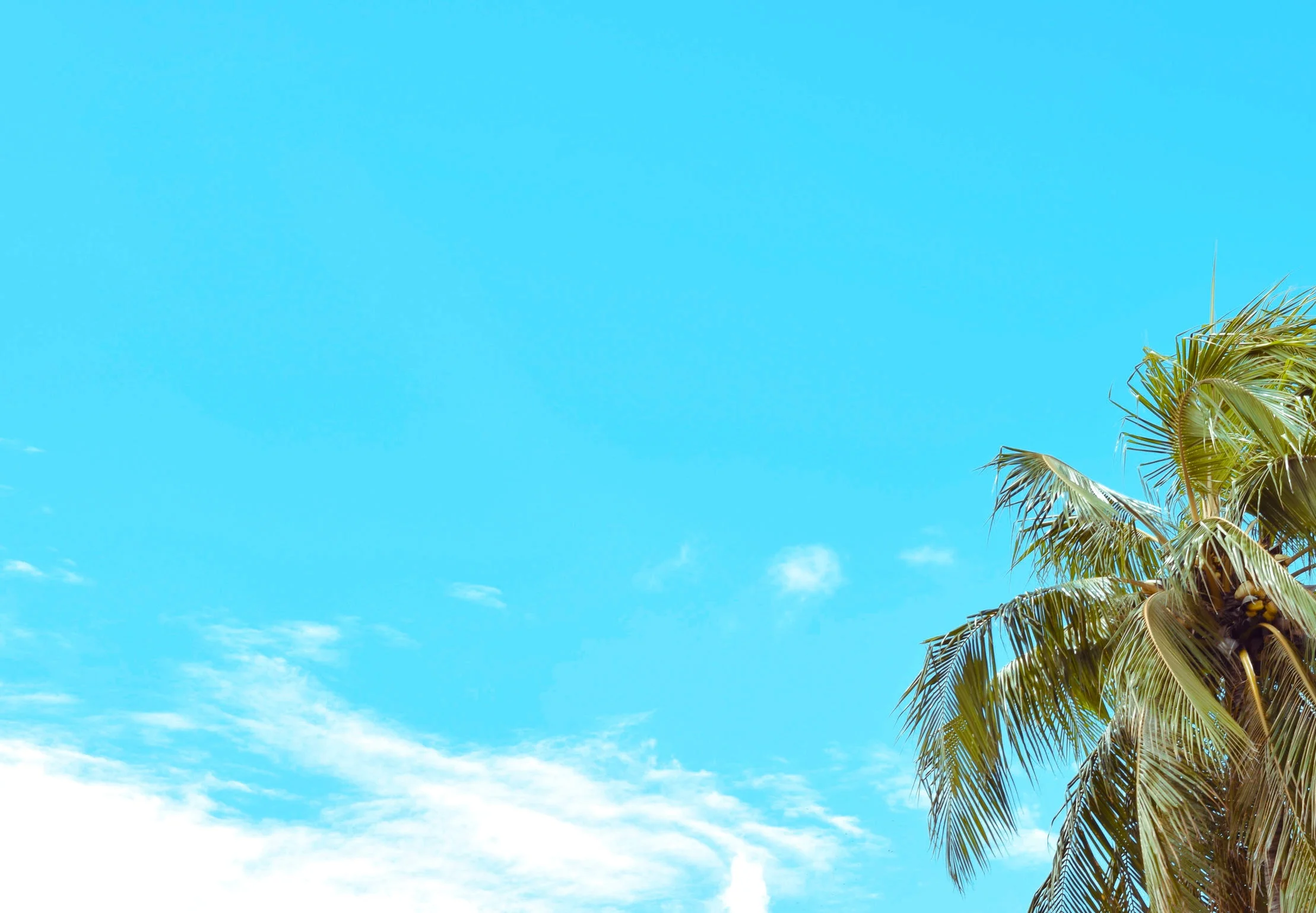 Pia Hair Salon Tokyo