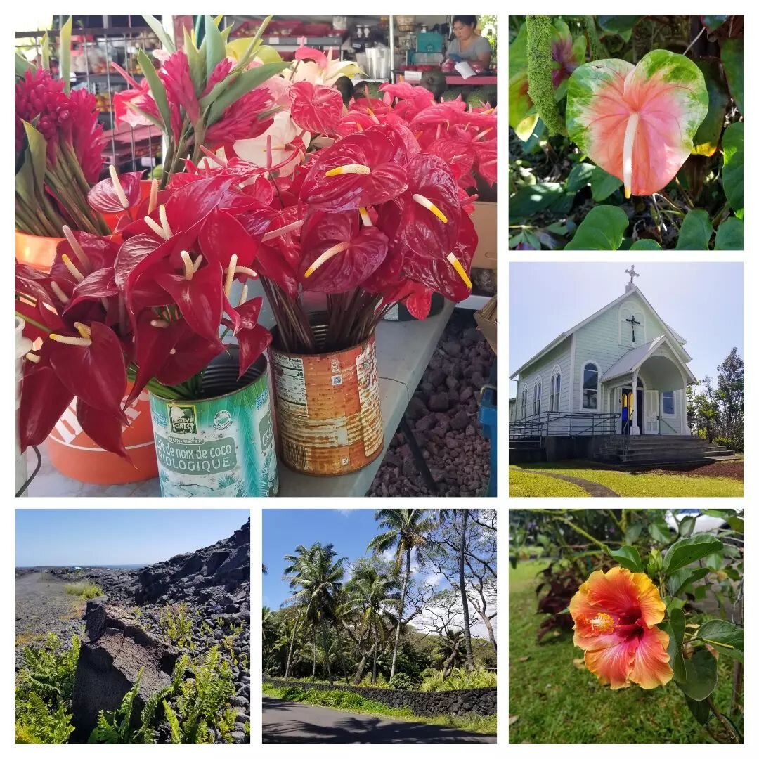The Big Island...
#anthiriums #paintedchurch #volcanoviews