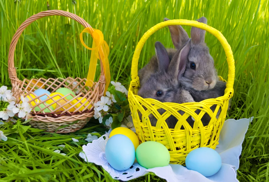 Houston property owners celebrate Easter.jpg
