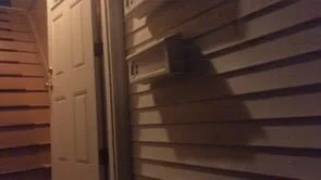 waxing crescent moon in scorpio (2020)