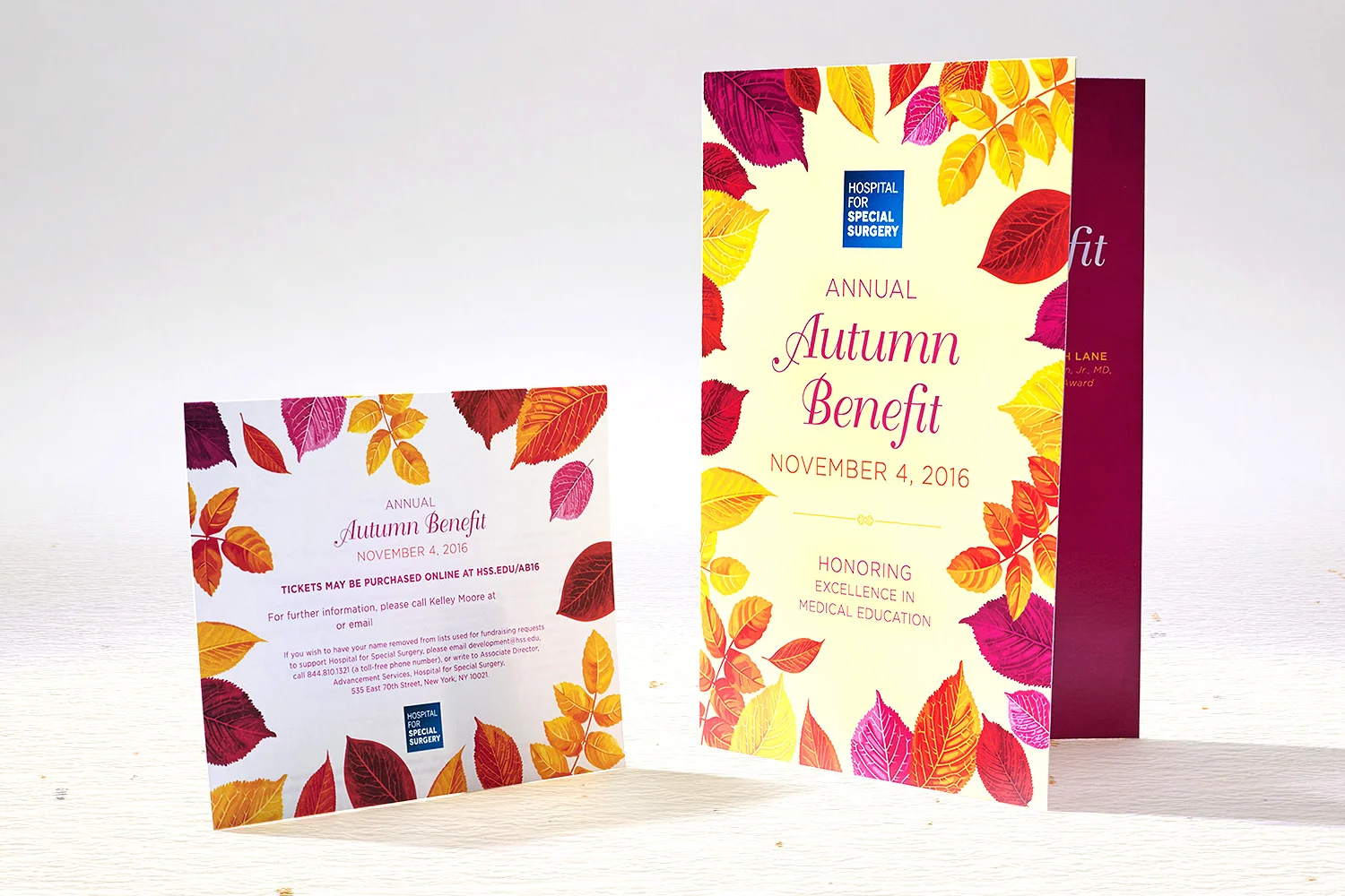 HSS Autumn Benefit-1.jpg