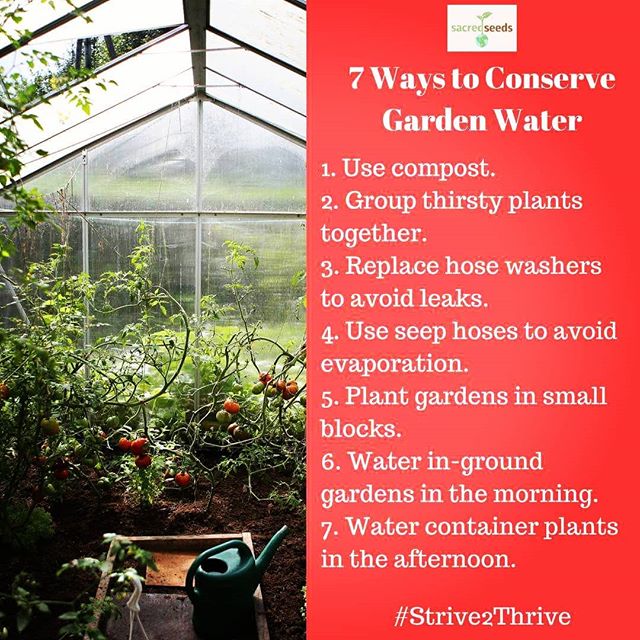 #consciousliving #Strive2Thrive #sustainable #conservewater #conserve #growthefuture