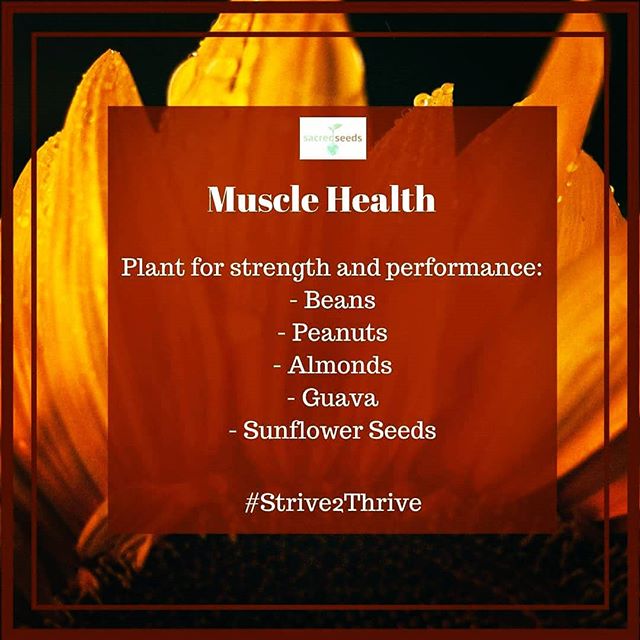 We have over 600 muscles in our bodies and they help us lift things, move, pump blood through our bodies, see, breathe, talk, walk, and more. To stay strong, healthy muscles require enough rest, nutrition, and exercise. Work toward a strong future by