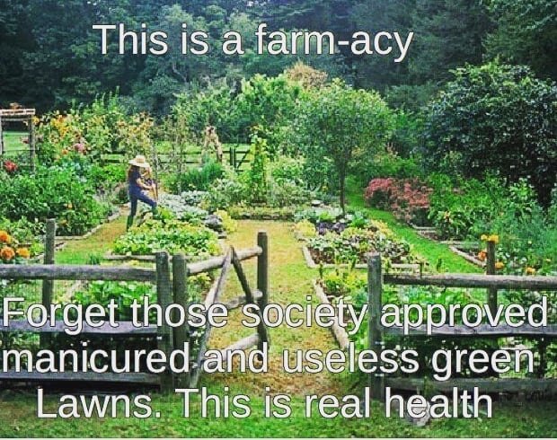 When you realize how silly front lawns are, you realize the food insecurities that could be eliminated!! .
.
.
Thank you @bsteve89 .
.
#bettertogether #growthefuture #strive2thrive #sustainability #urbangreening #TheSacredSeeds #EducateNourishEmpower