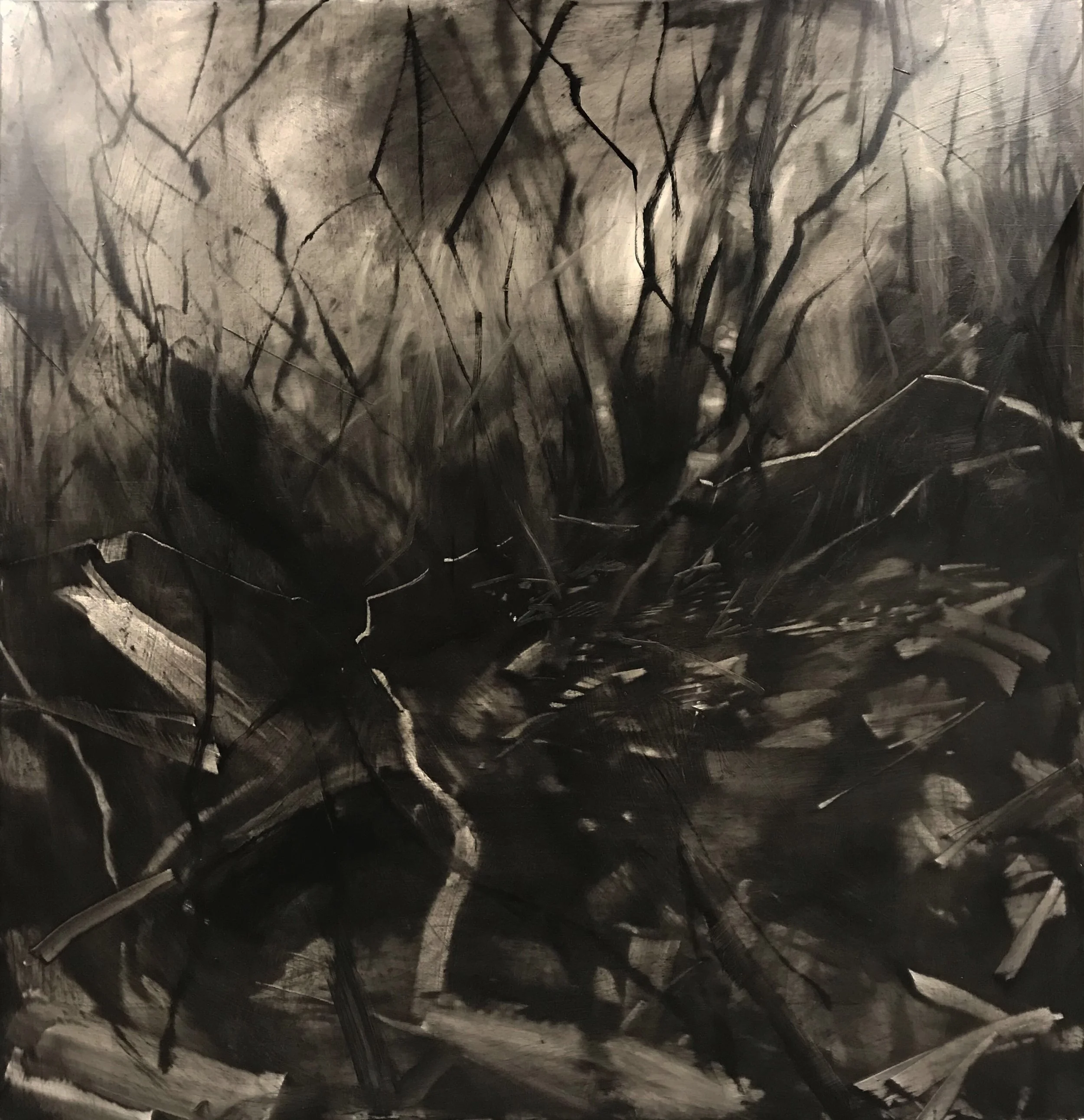 INternal Landscape #1 46”x46” Oil on panel