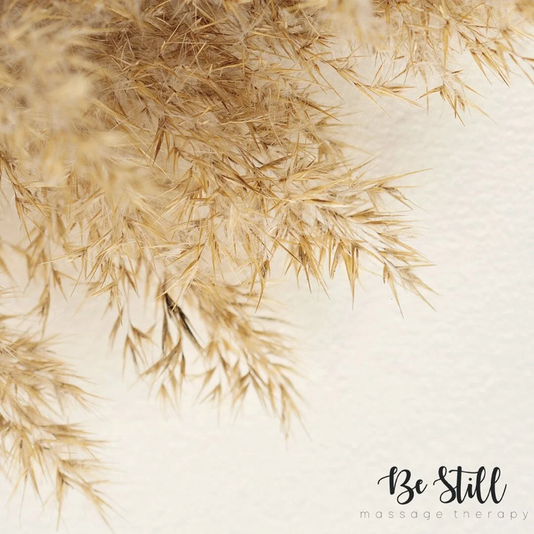 ✨ N e w  Y e a r ✨ @bestillmassagetherapy is officially back open for the New year and our Beautiful New space is nearly ready to go! 😍
I can&rsquo;t wait to catch up with you all, I hope you have had an amazing + restful start to the year 🌱 
Thank you in advance for your patience as I reply to your emails + messages today! 
See you all soon 🤍
Arohanui, L x 
.
.
.
.
.
.
.
.
.
.
.
.
.
.
#newyear #open #freshstart #2021 
#restore #heal #rest #massagetherapy #bestillmassagetherapy #wellington #upperhutt #aotearoa #healinghands #massagenewzealand #healthiswealth