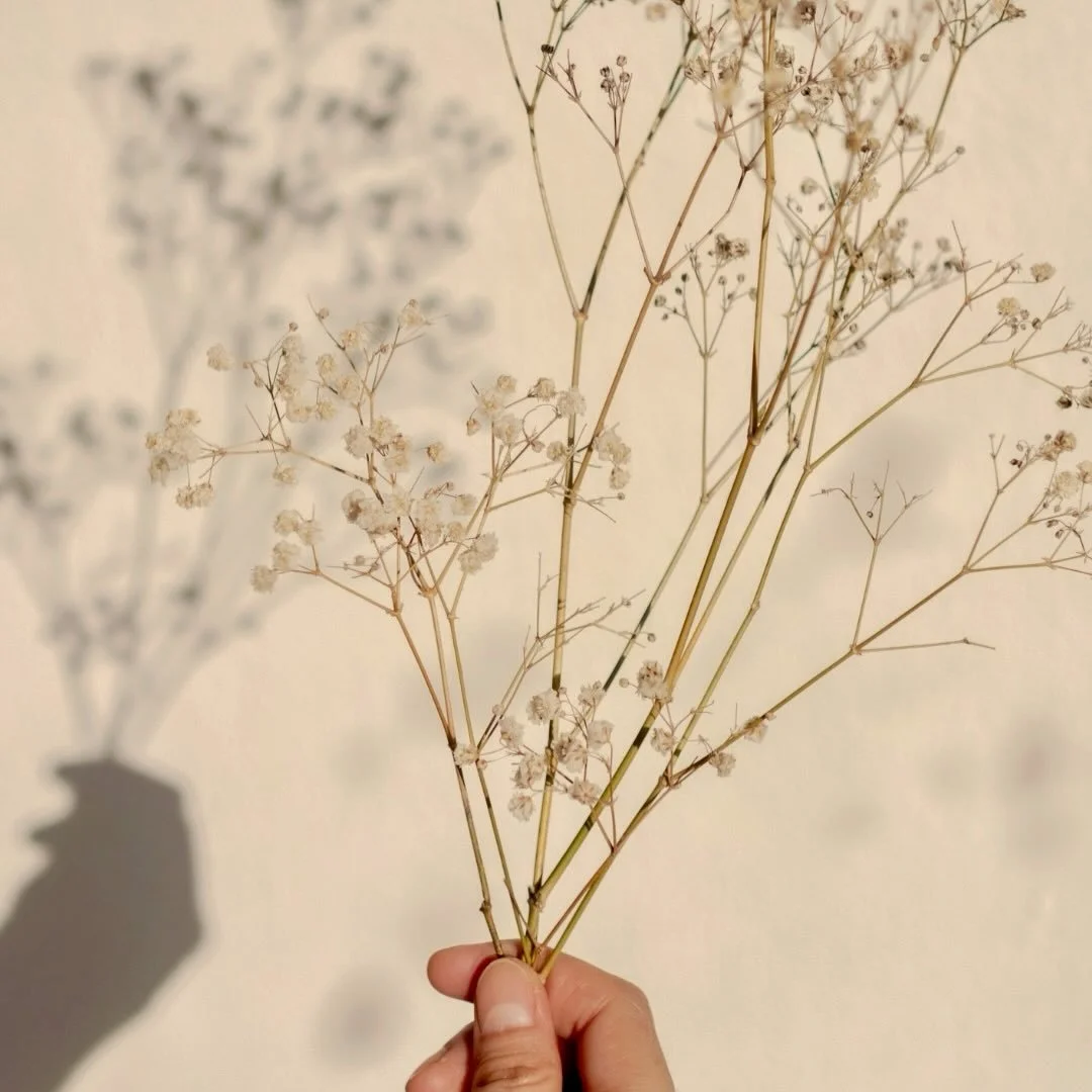 &ldquo;Touching hands are not like pharmaceuticals or scalpels; they are like flashlights in a darkened room, 
The medicine they administer is self-awareness,
And for many of our painful conditions, 
this is the aid that is most urgently needed.&rdqu