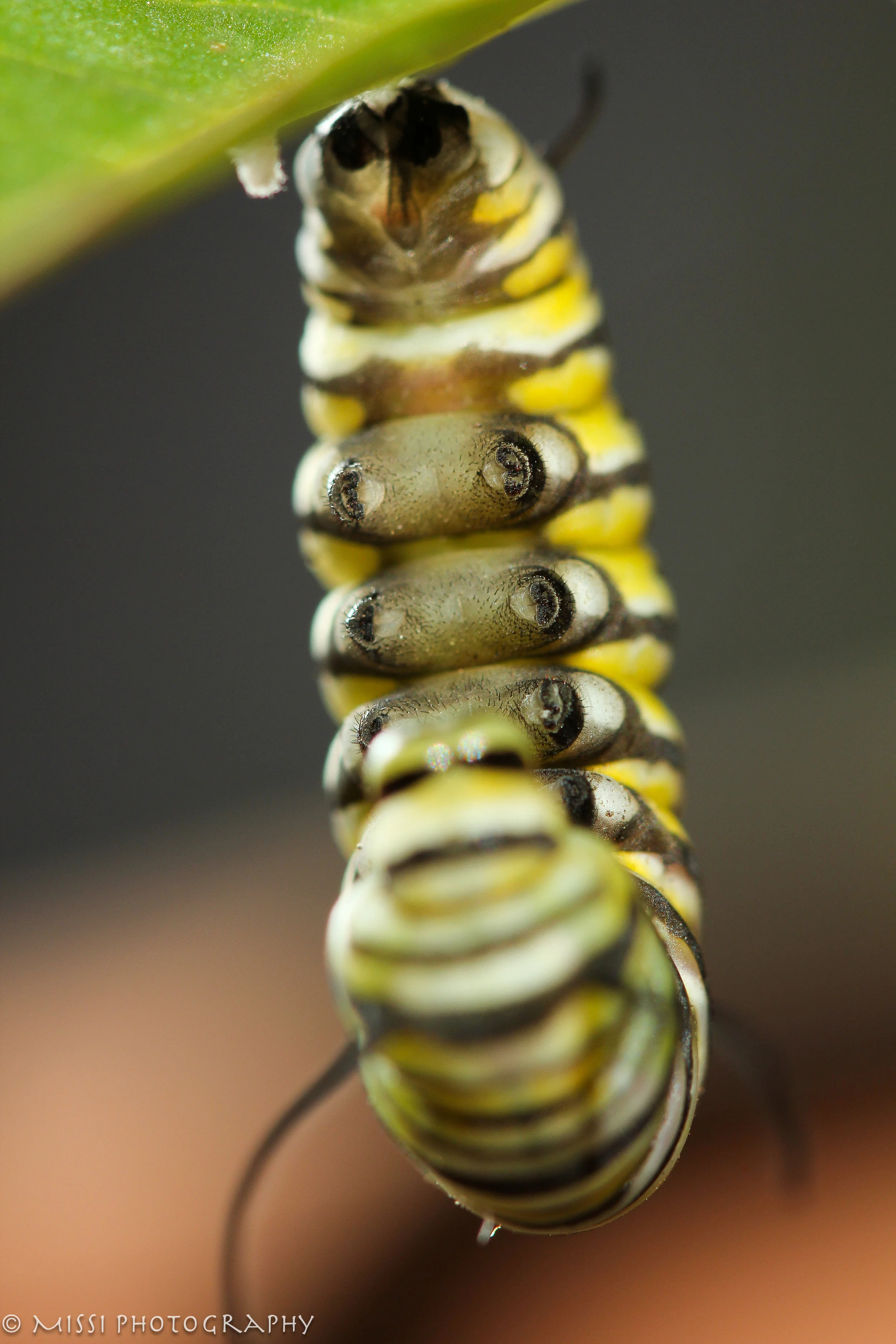 s11_Final_Hostrup_M_010-Blog copy.jpg