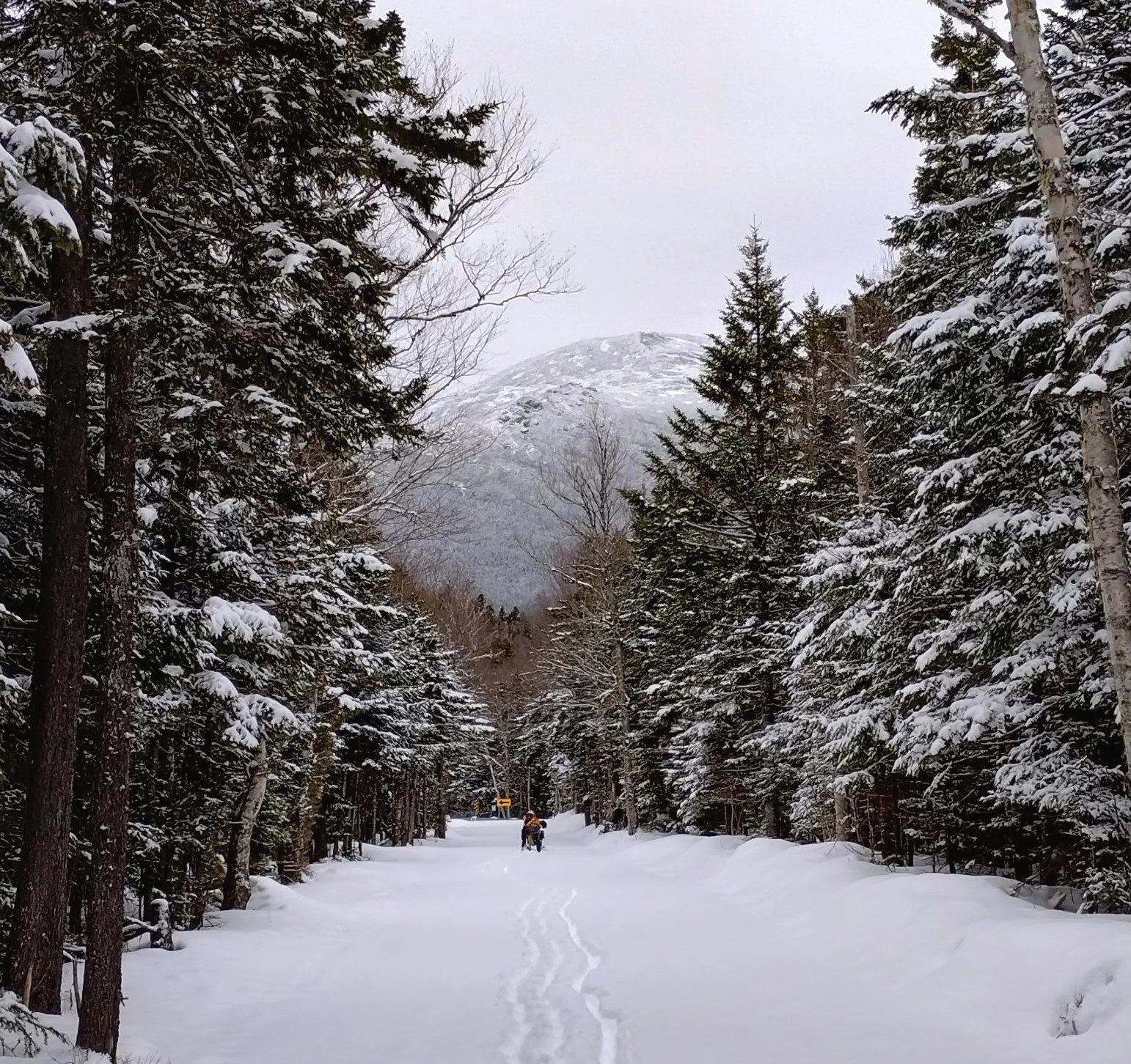 Winter Adventure Bikepacking Weekend March 14-15, 2026