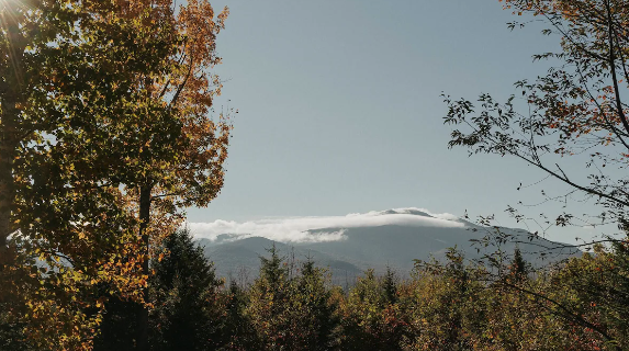 Screenshot 2026-01-06 at 10.21.59 AM.png