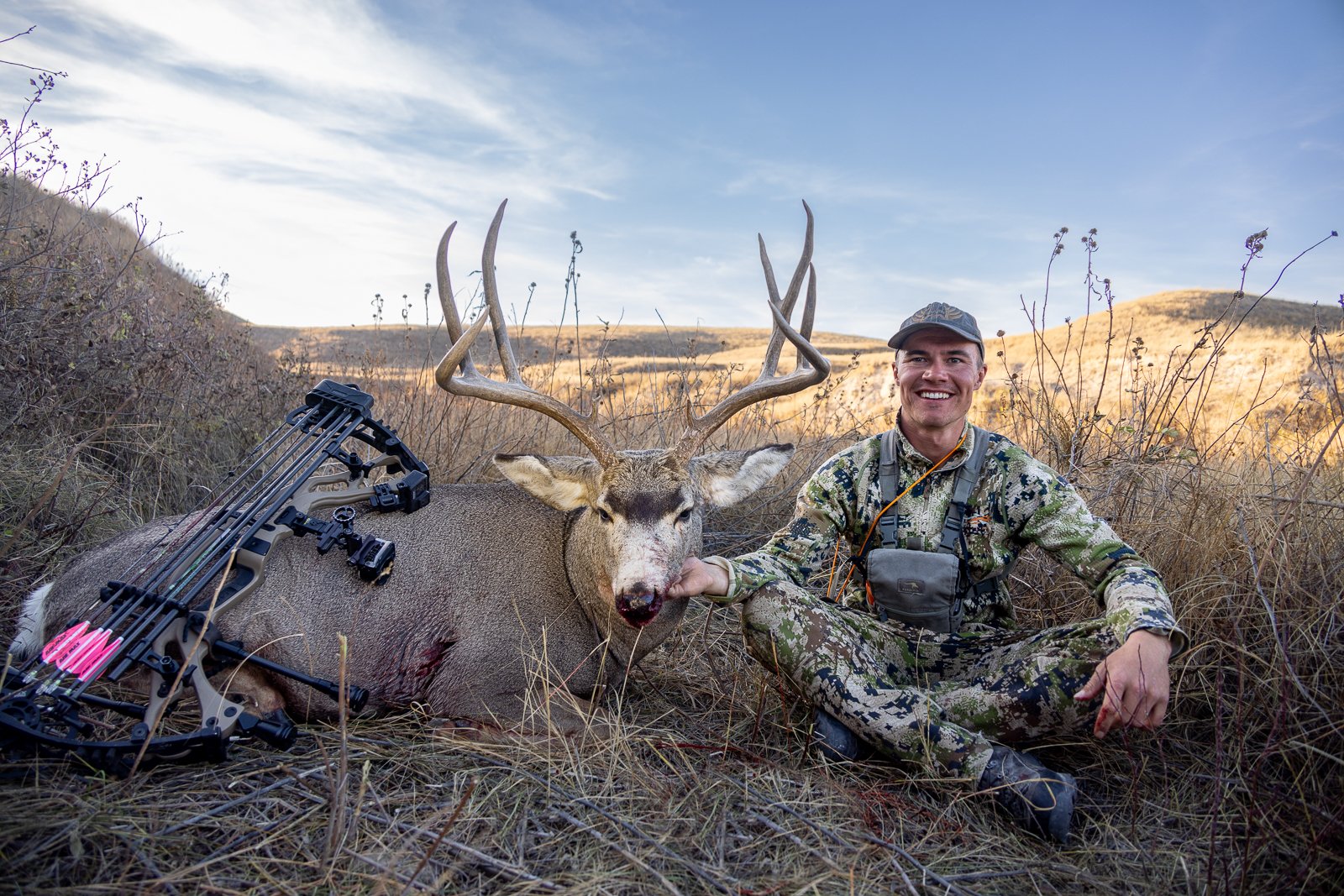 2022 Mule Deer