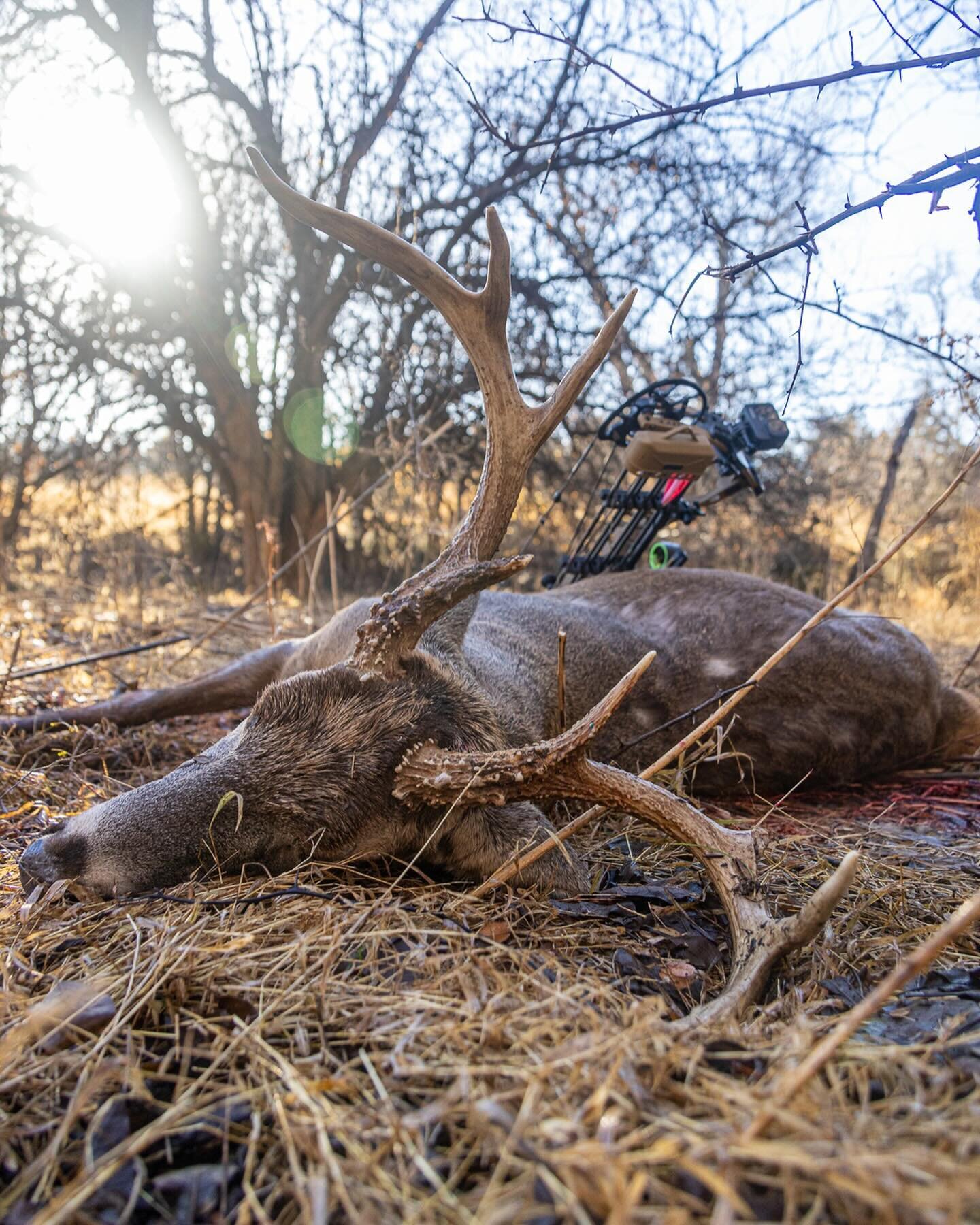 These cold winter days have me strongly reminiscing about all of the incredible hunts I had in Kansas this past fall. I&rsquo;ve bowhunted whitetails all of my life, but this was a completely new experience for me. 3 different trips and nearly 10 ful