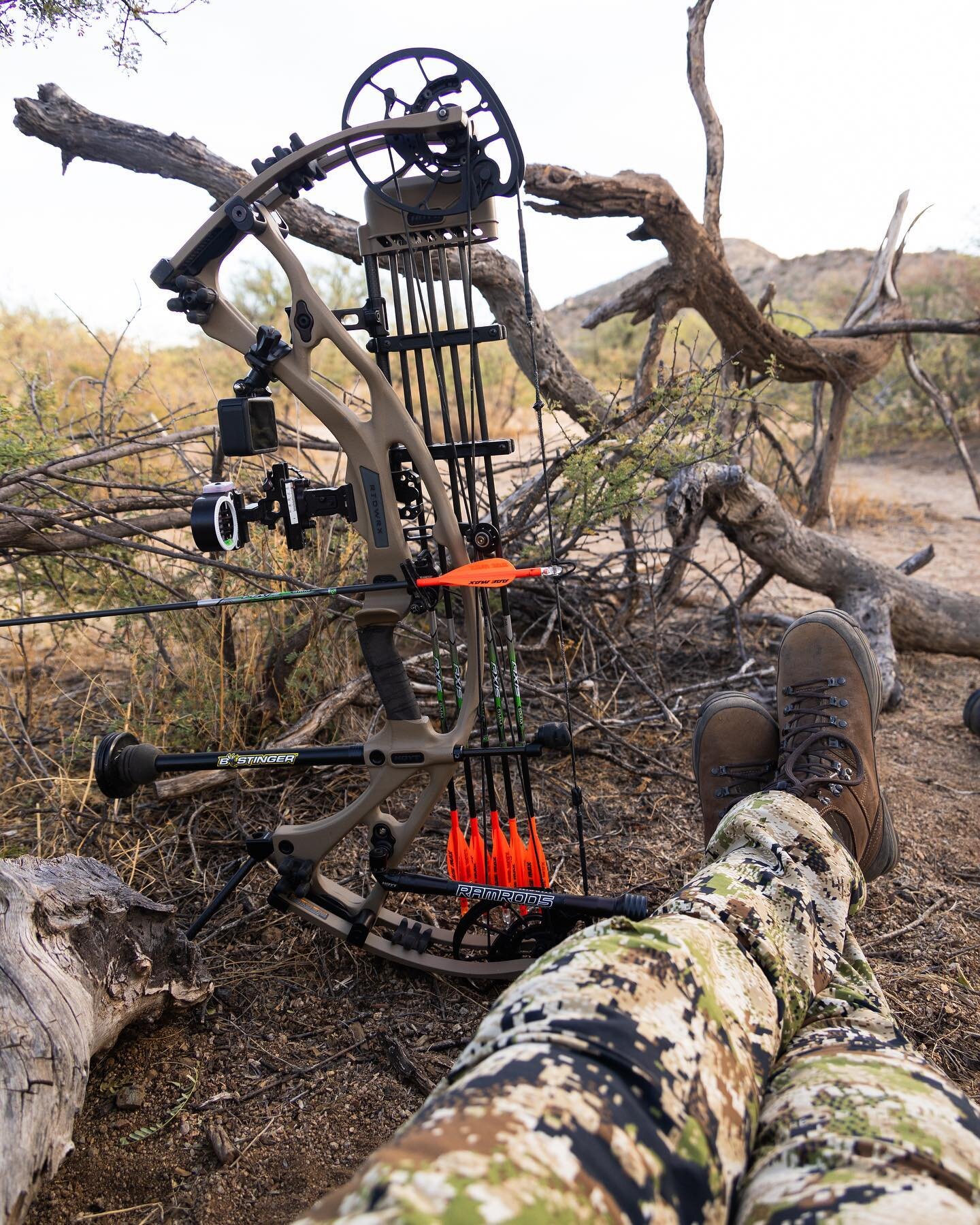 Day 4 in Arizona, coues deer: An early morning drive brought us to another new location, this one 80 miles from our original, with new landscapes to explore. Dad sat overtop a fresh water hole that was covered in deer and javelina tracks, while I per