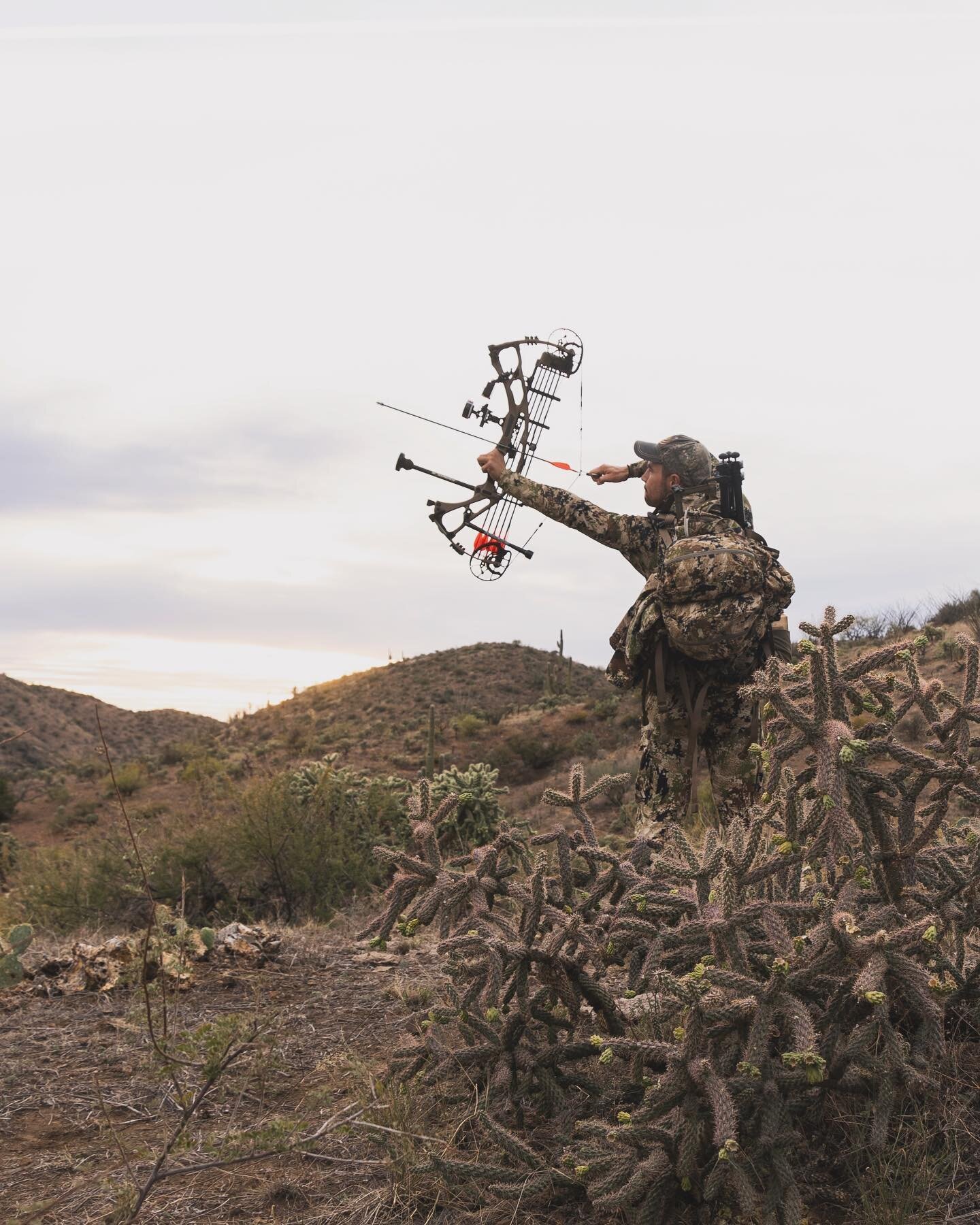 Day 2 in Arizona, coues deer: Returning to the same location after having a good day 1, only 2 deer were spotted in the lowlands where the buck was the previous morning. Venturing on to another water hole we located the day before, 15 deer including 