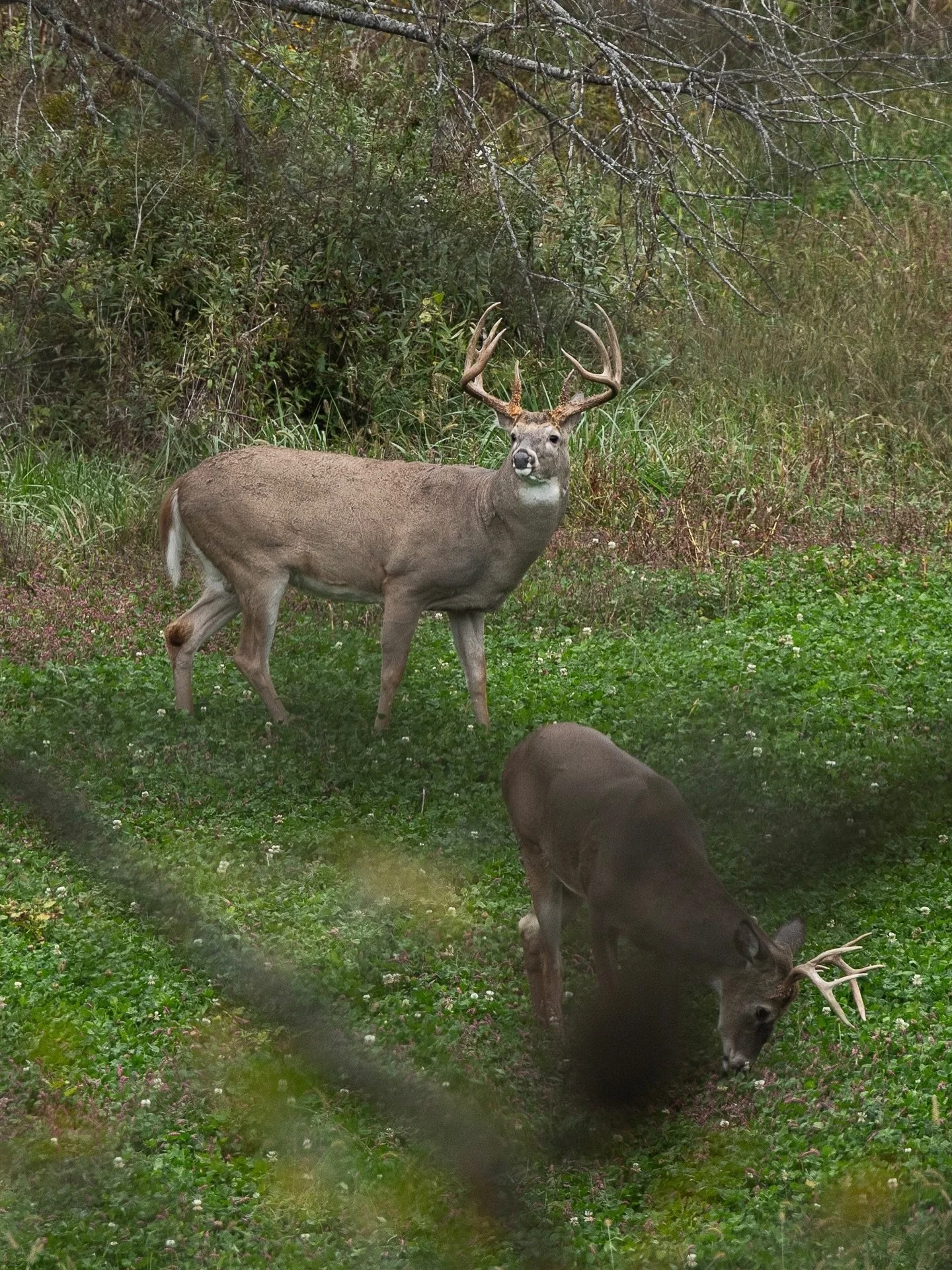 October so far in Iowa 

#BowOnly #GodsCreation
