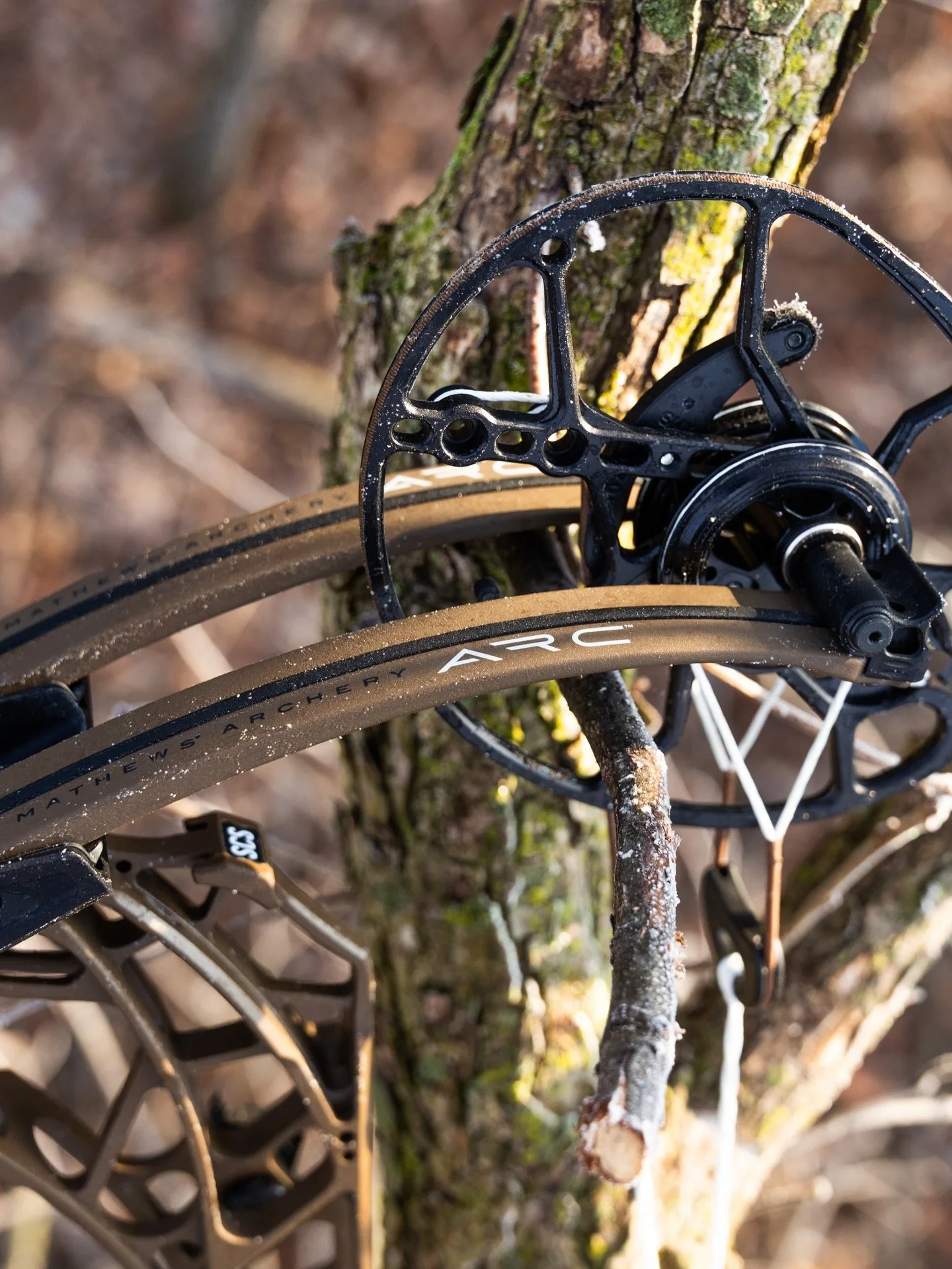 Late season - When temperatures are mild in January, I often see lots of movement both during morning and evening hunts. It really feels like it could be early November with highs in the 50s and lows in the 20s. Action has been good, a few doe tags h