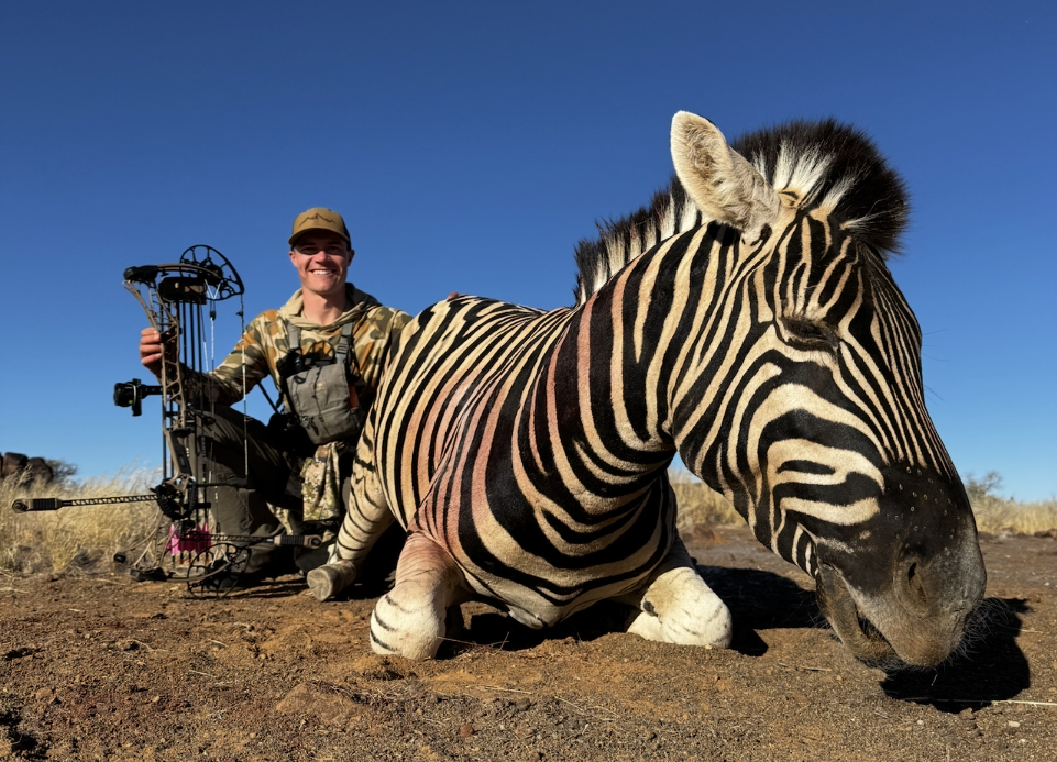 View recent photos 2.png