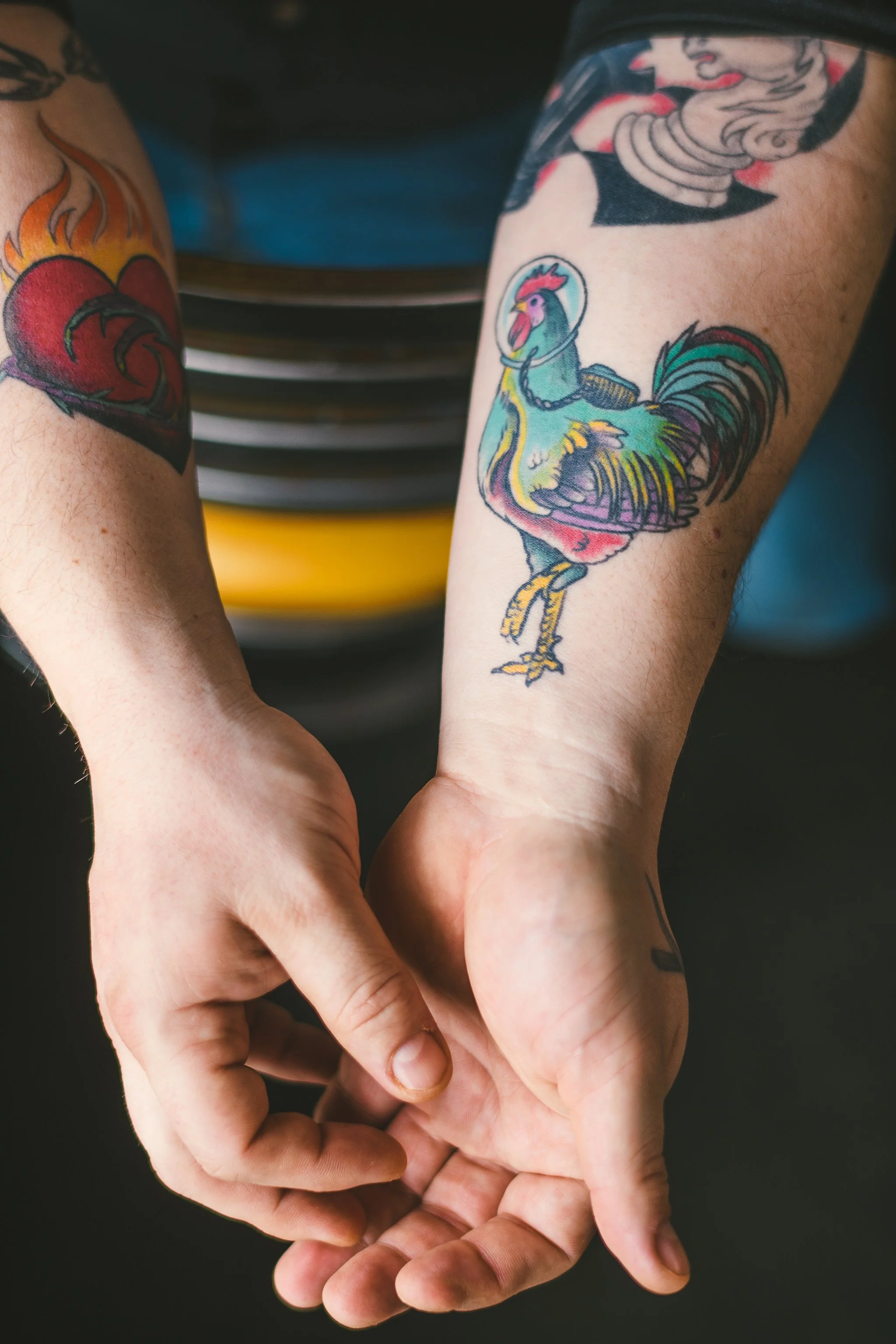 rooster_co_116.jpg