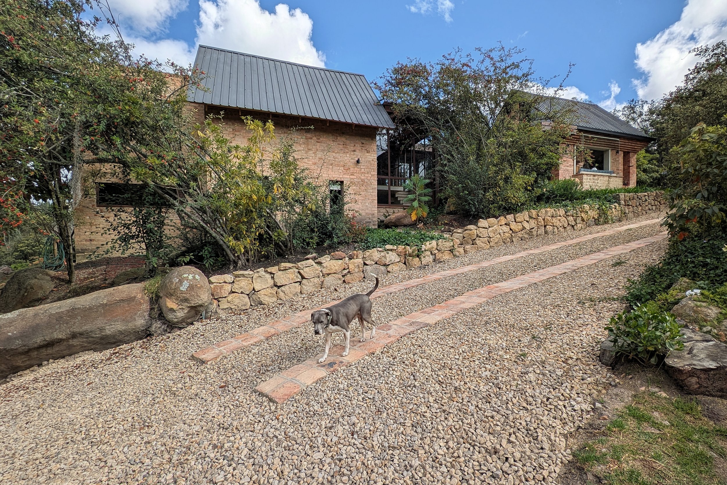 PXL_20251230_194509426 (1).jpg