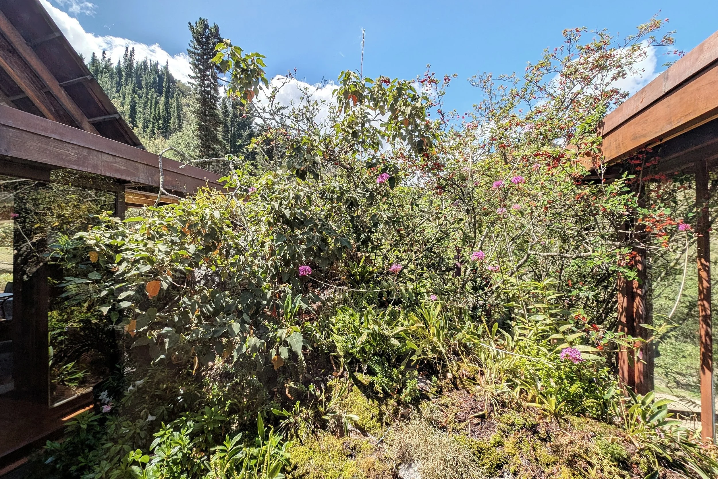 PXL_20251229_175319886 (1).jpg