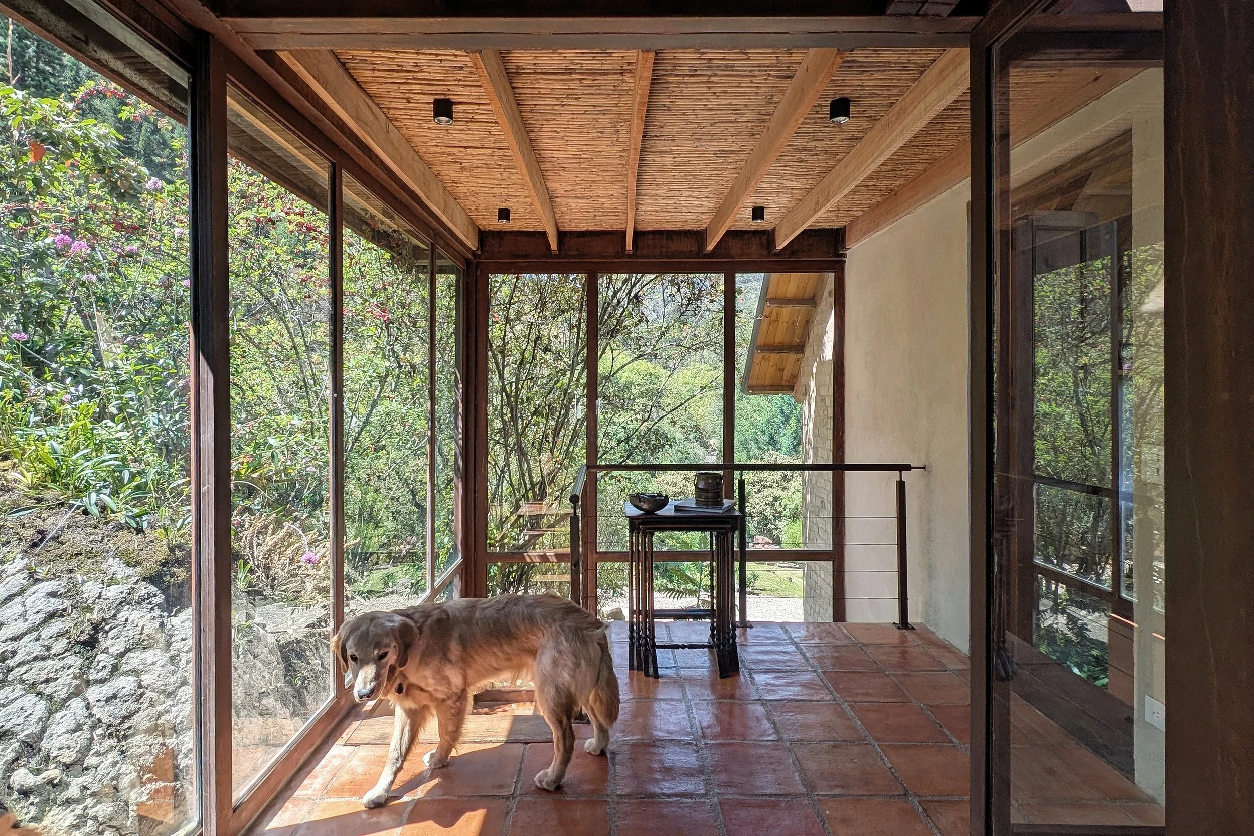 PXL_20251226_165803265 (1).jpg