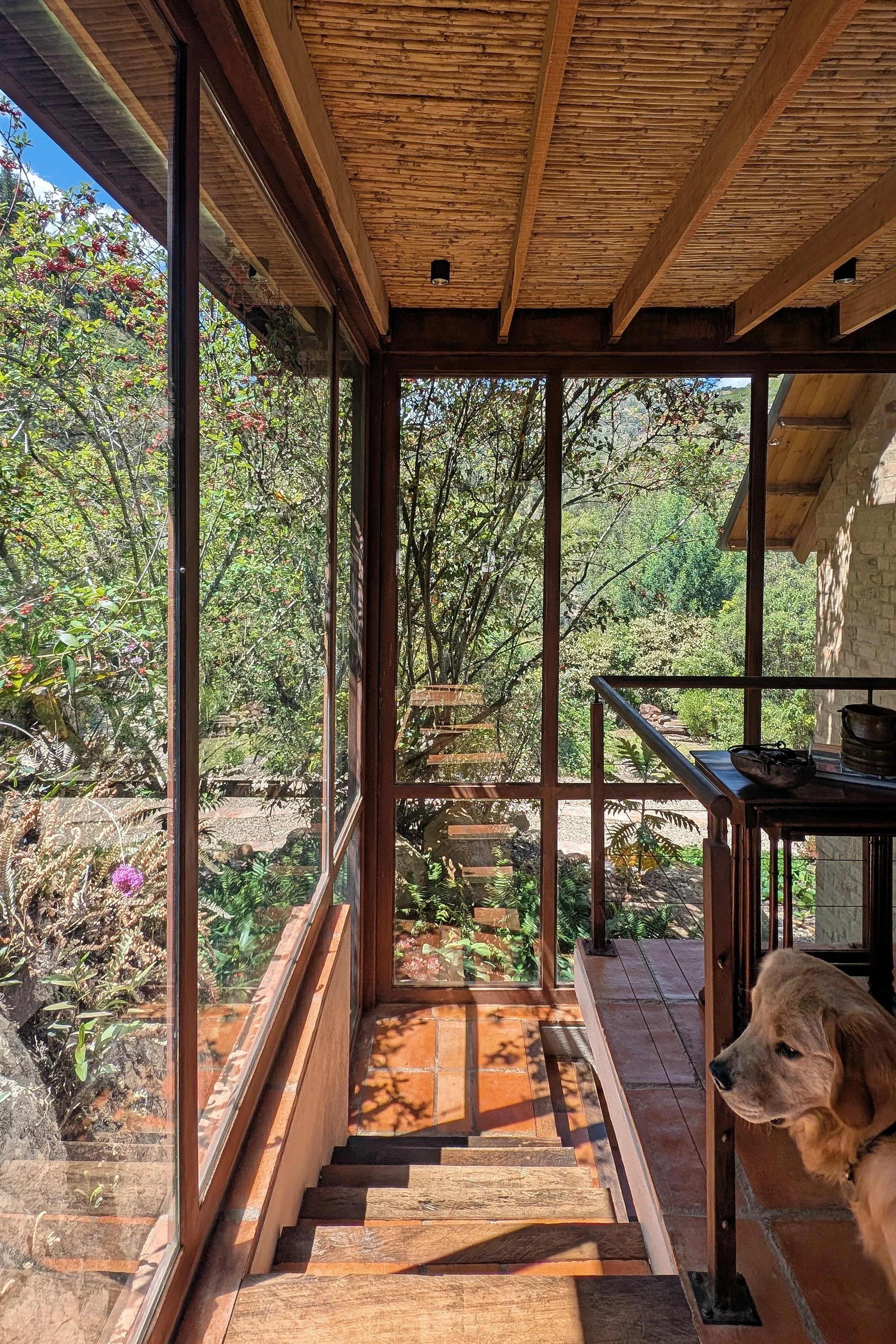 PXL_20251226_165814744 (2).jpg