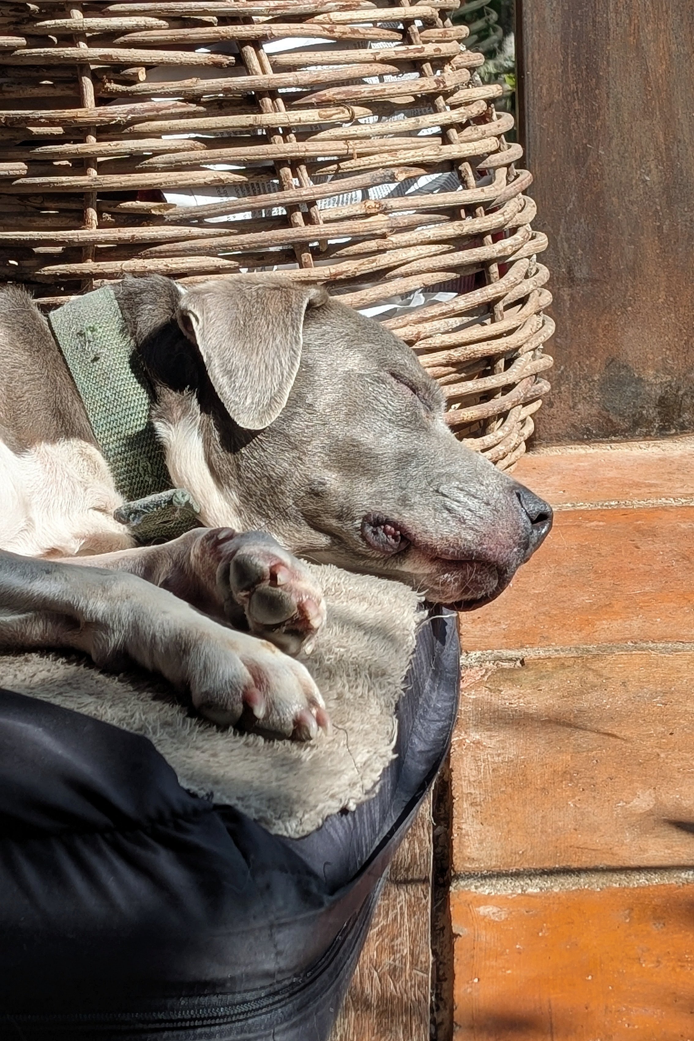 PXL_20251226_142545058.PORTRAIT.ORIGINAL (1).jpg