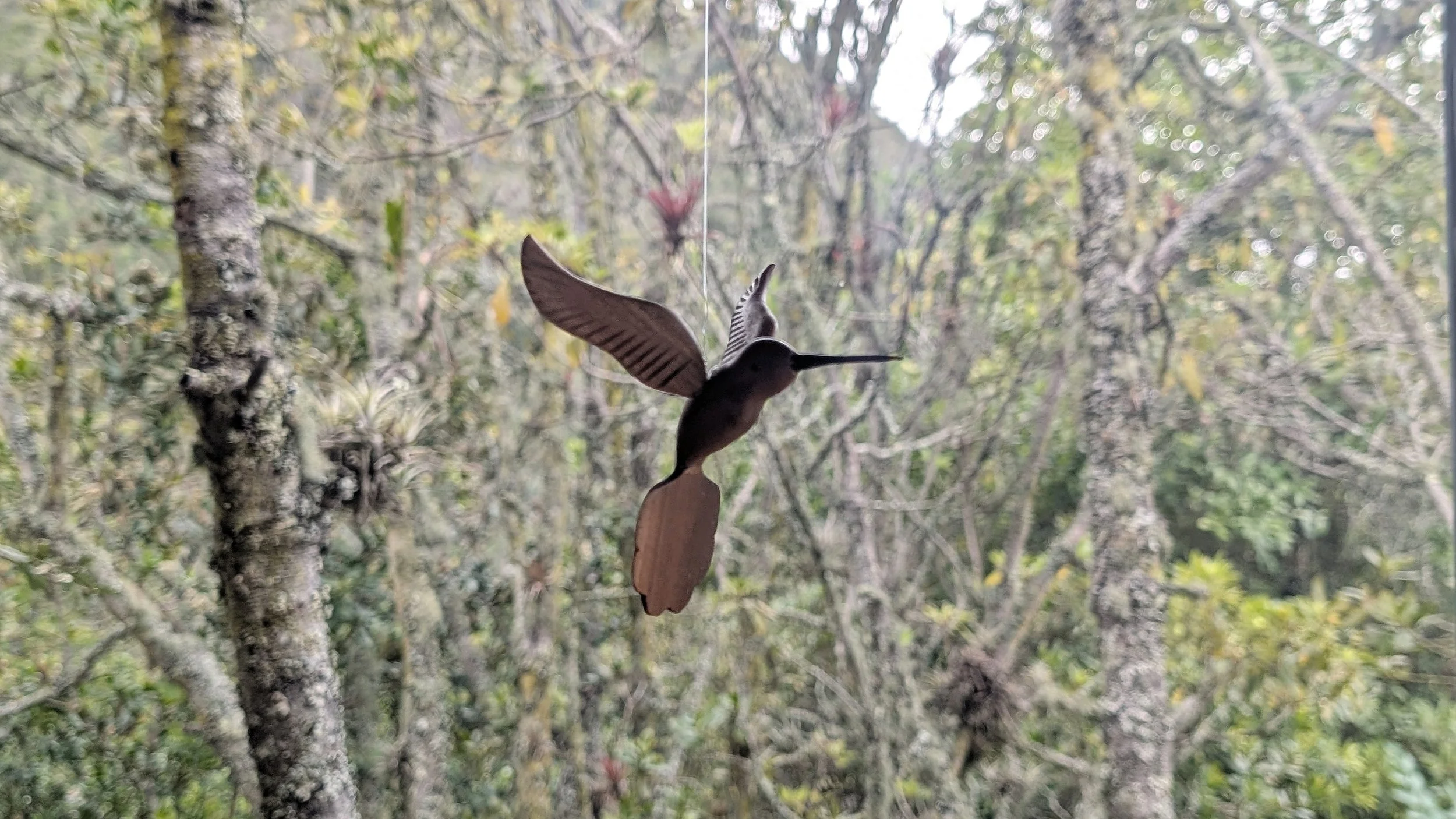 PXL_20251231_170735930 (1).jpg