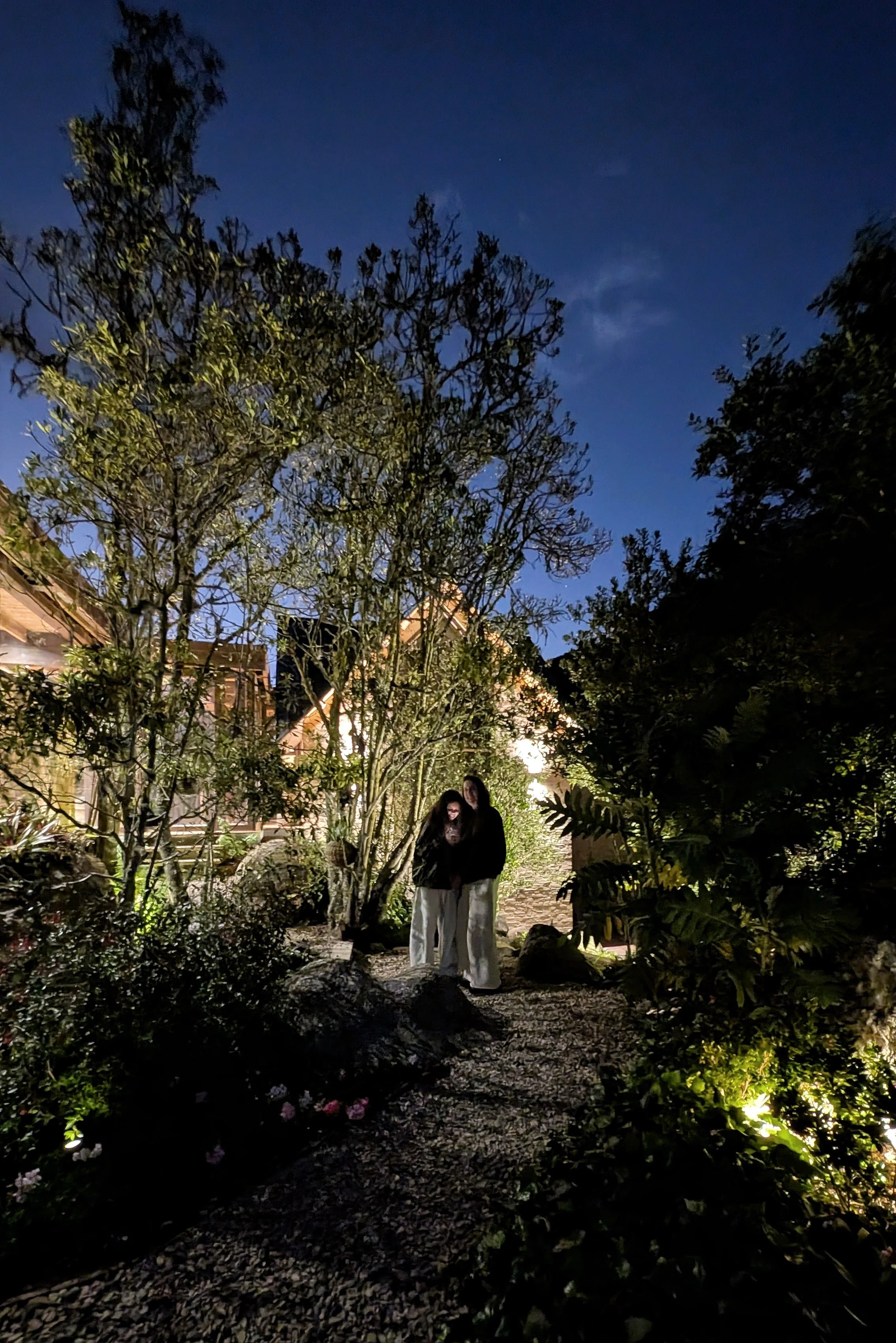 PXL_20251229_232945279.NIGHT (1).jpg