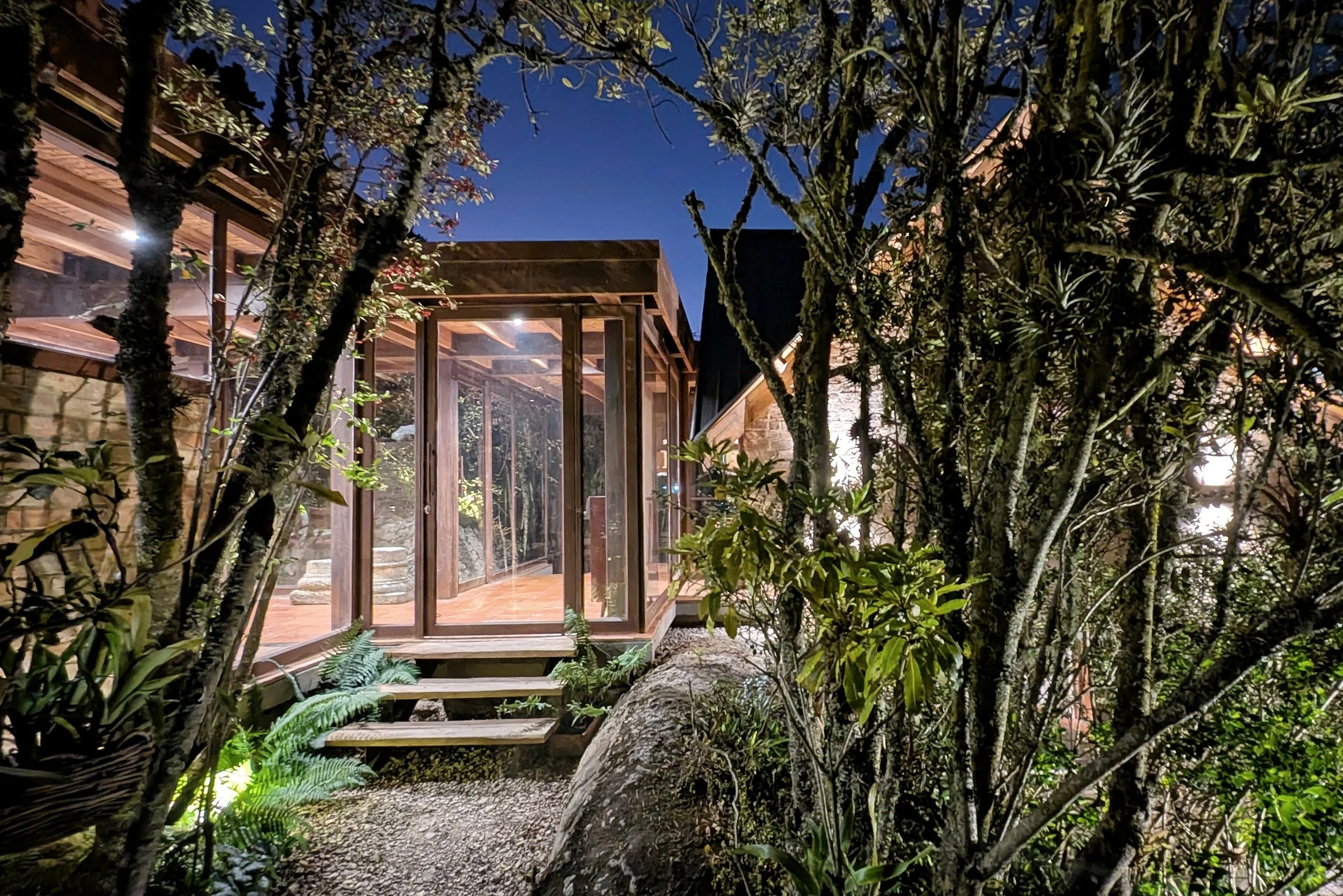 PXL_20251229_233138832.NIGHT (1).jpg