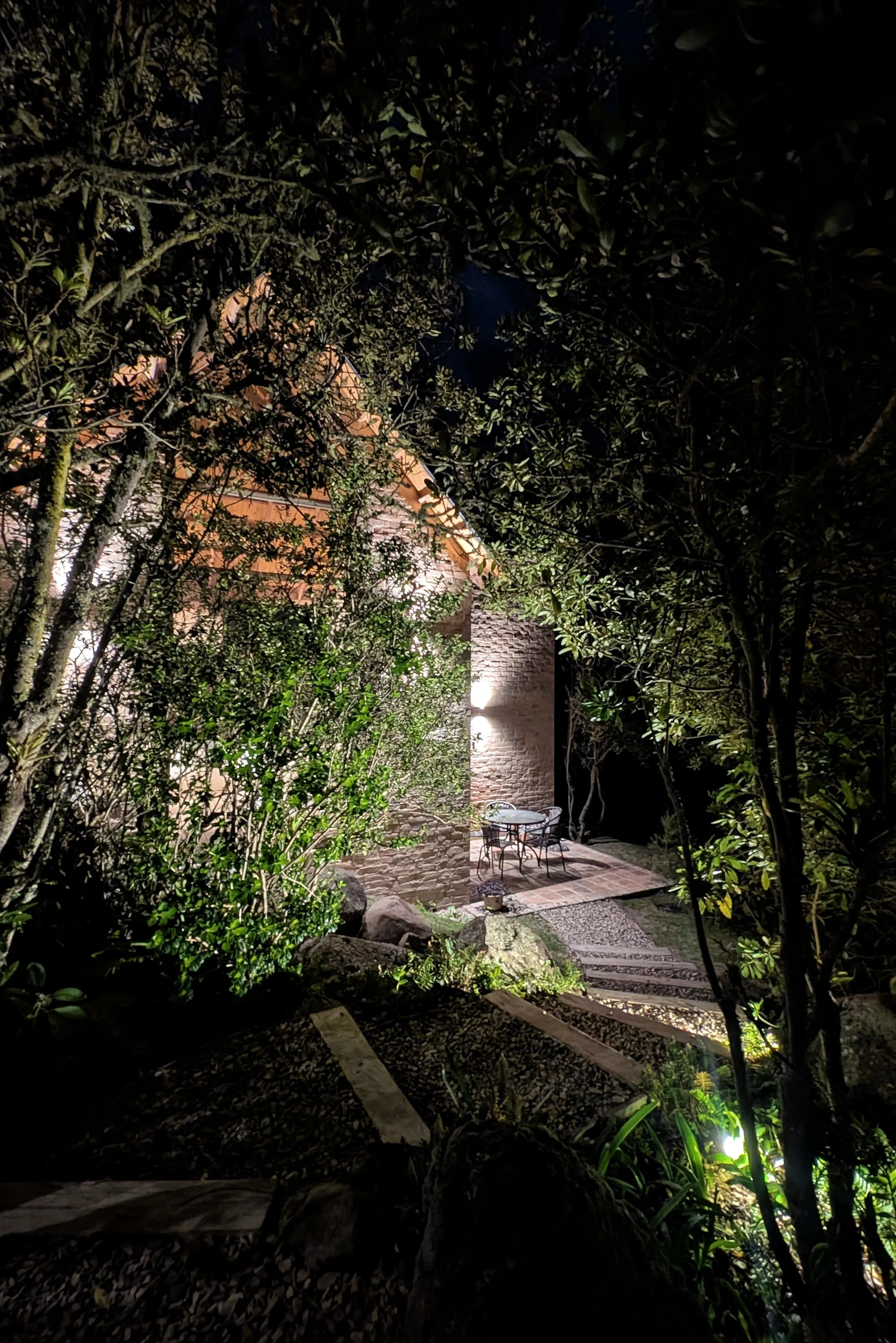 PXL_20251229_234008237.NIGHT (1).jpg